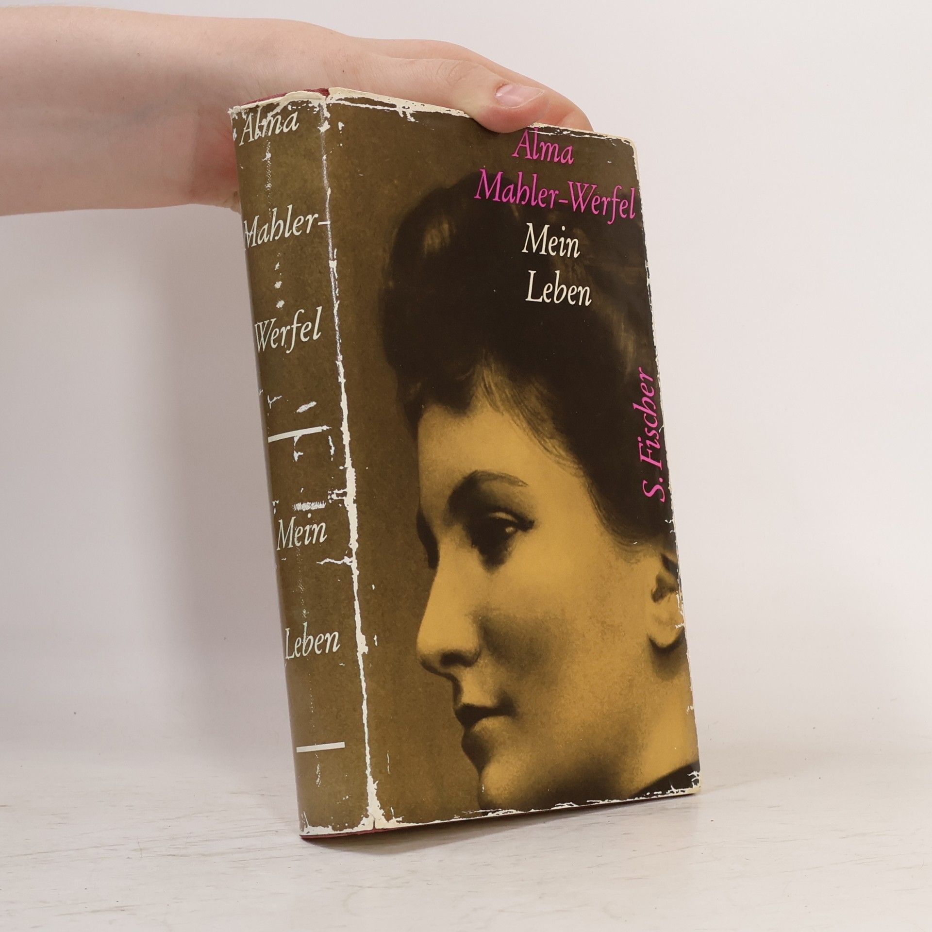 Alma Mahler-Werfel Mein Leben