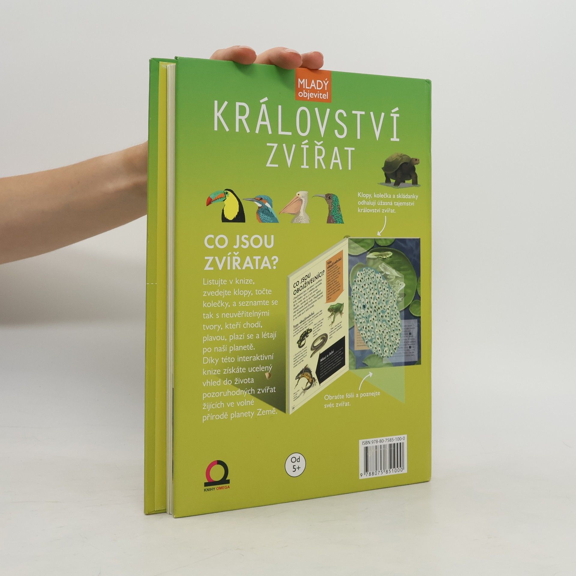 Bedoyere Camilla Království zvířat