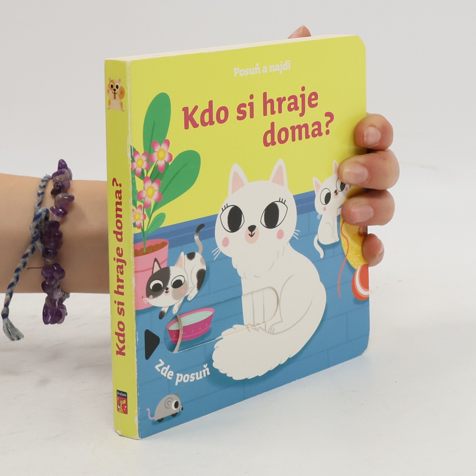 Collectif d'auteurs Posuň a najdi: Kdo si hraje doma?