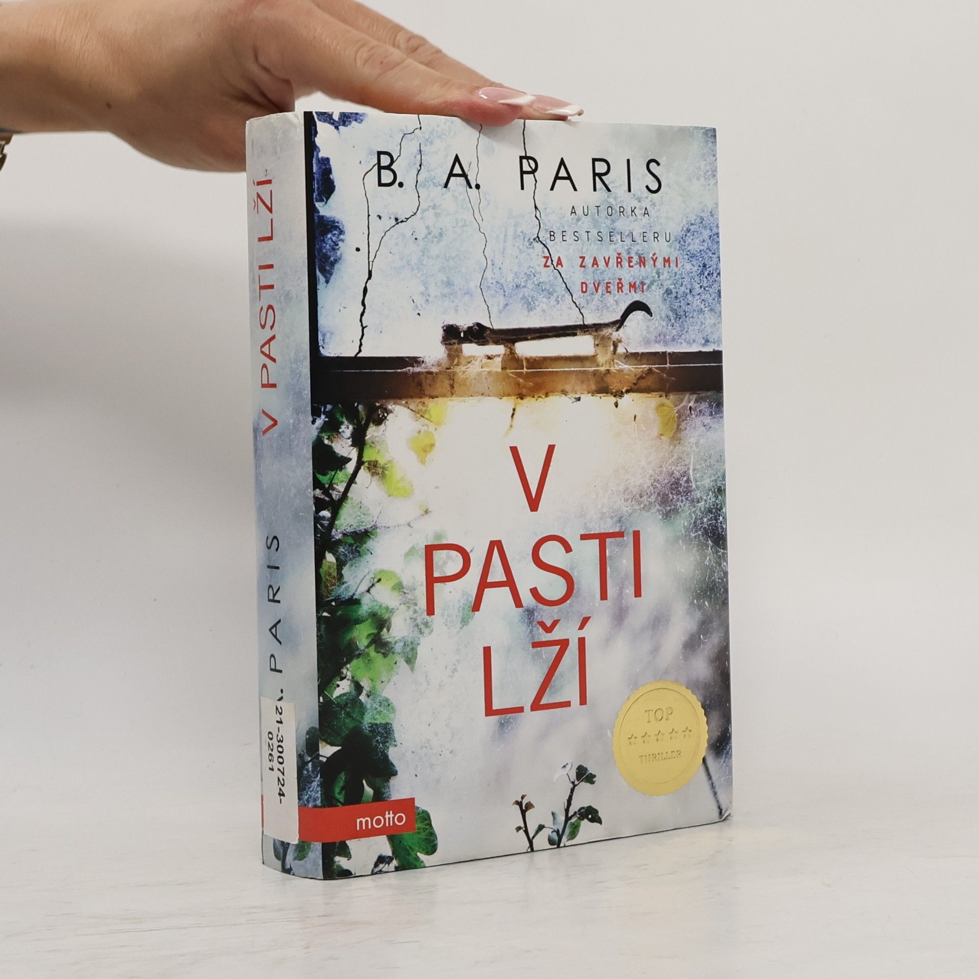 B.A. Paris V pasti lží