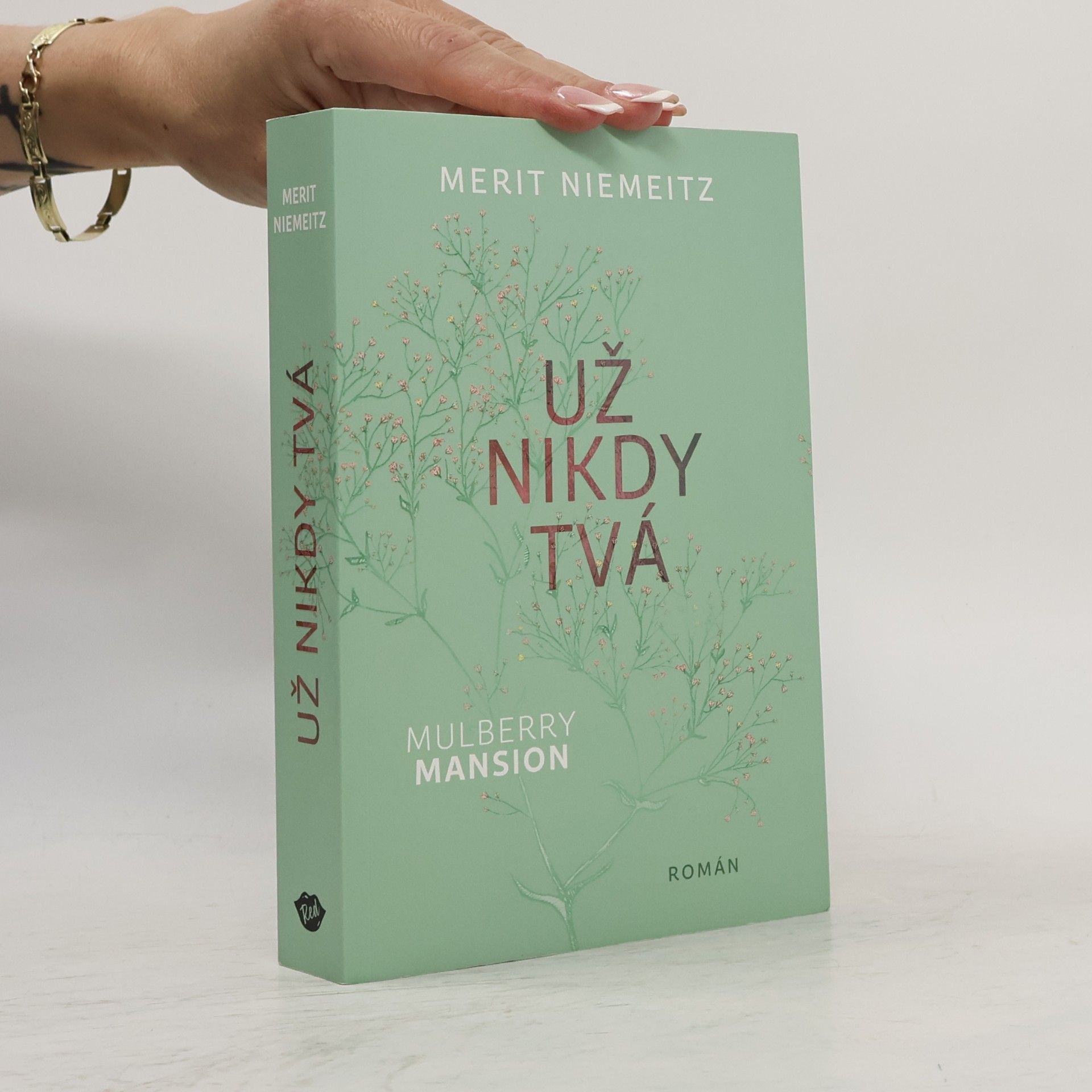 Merit Niemeitz Už nikdy tvá