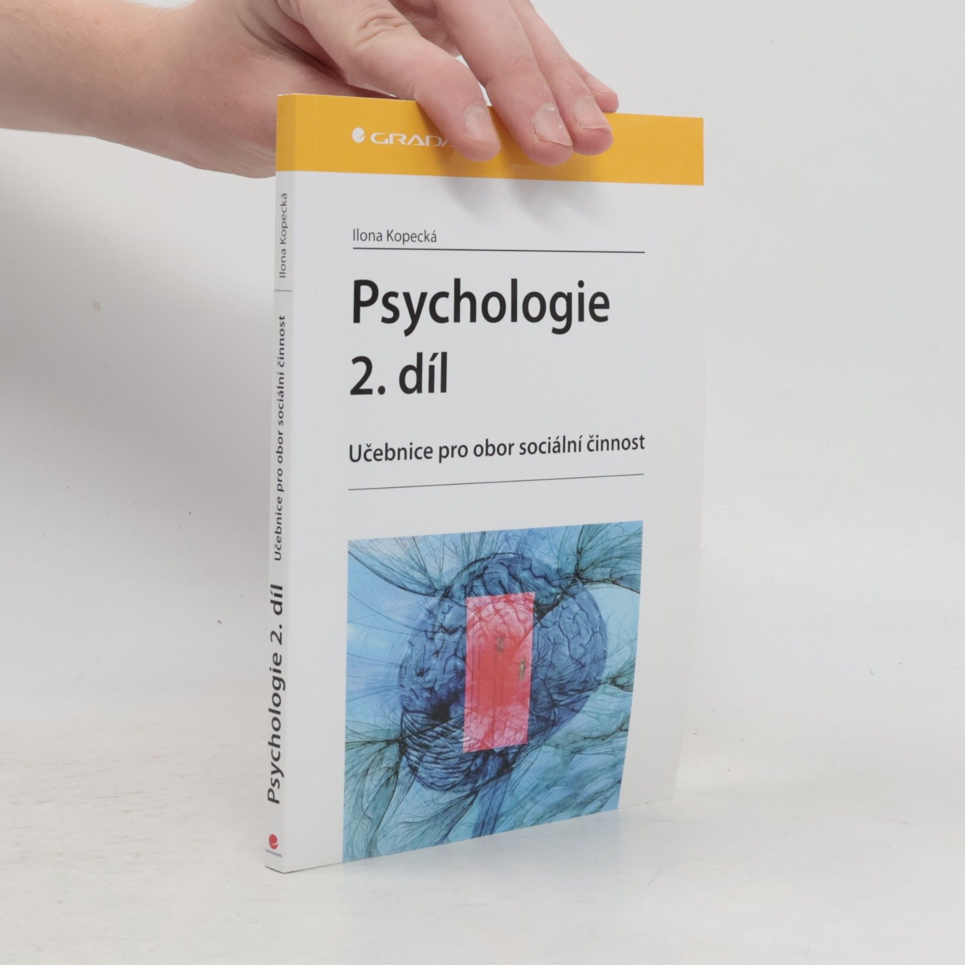 Ilona Kopecká Psychologie : učebnice pro obor sociální činnost. 2. díl