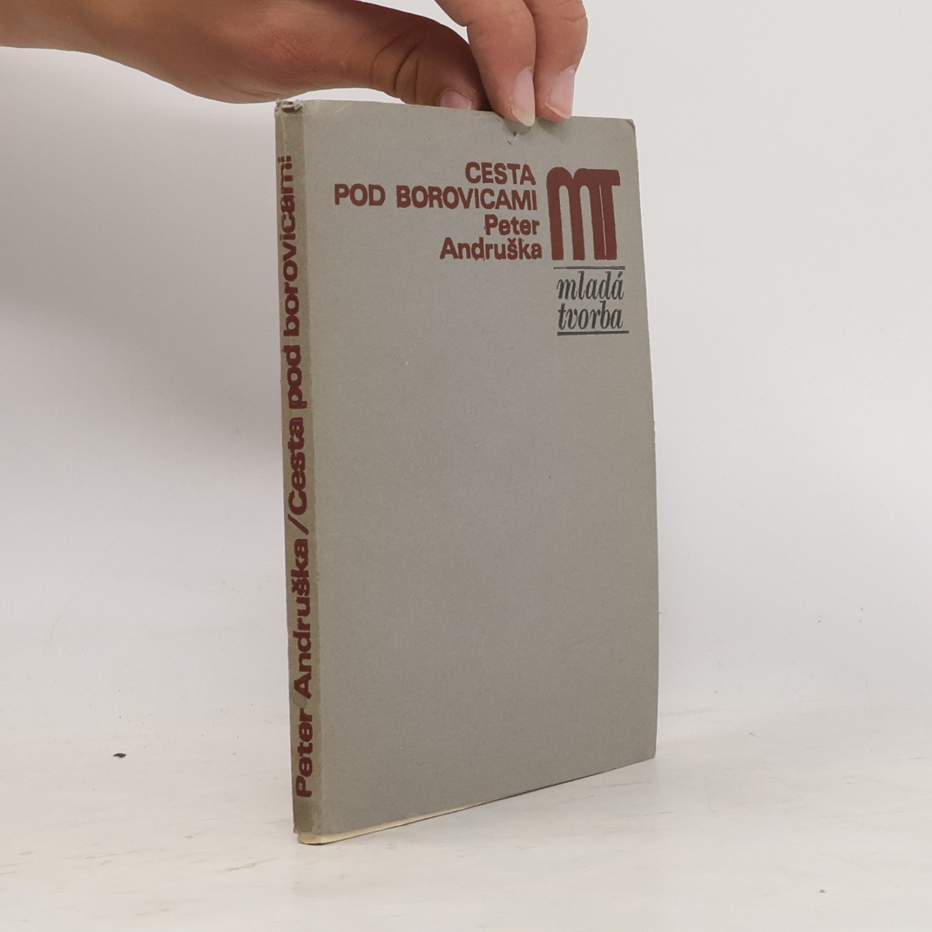 Peter Andruška Cesta pod borovicami