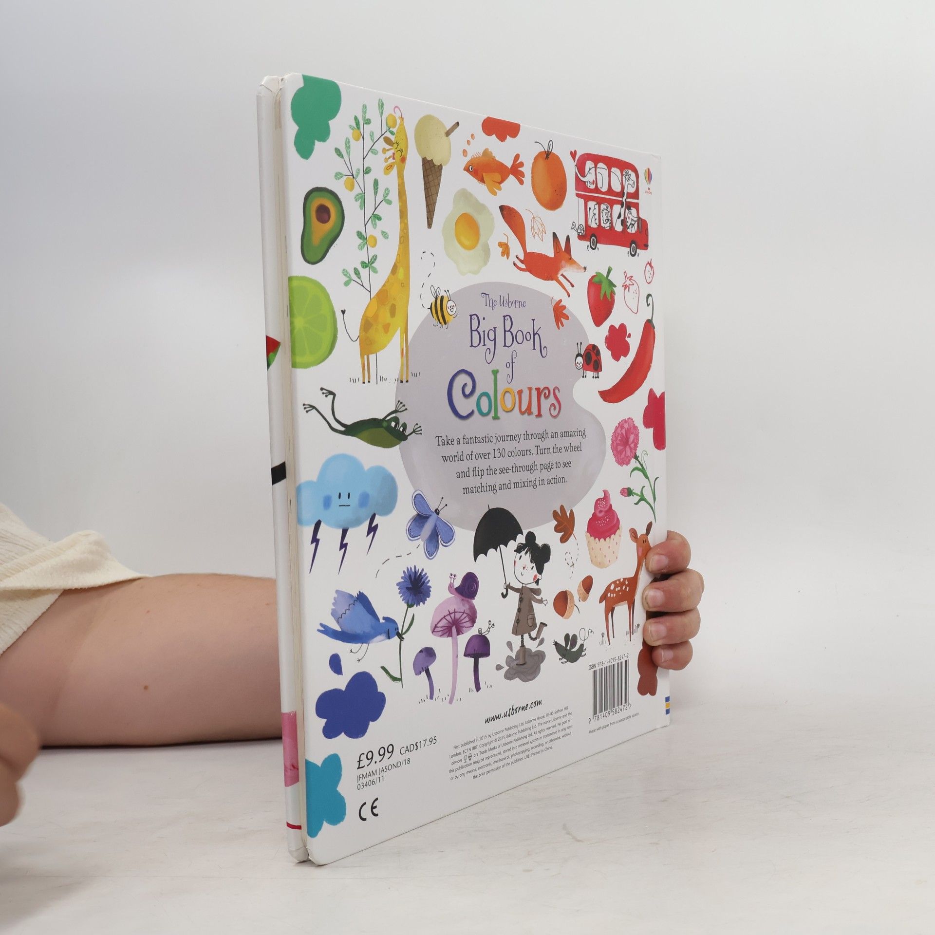 Felicity Brooks The Usborne big book of colours
