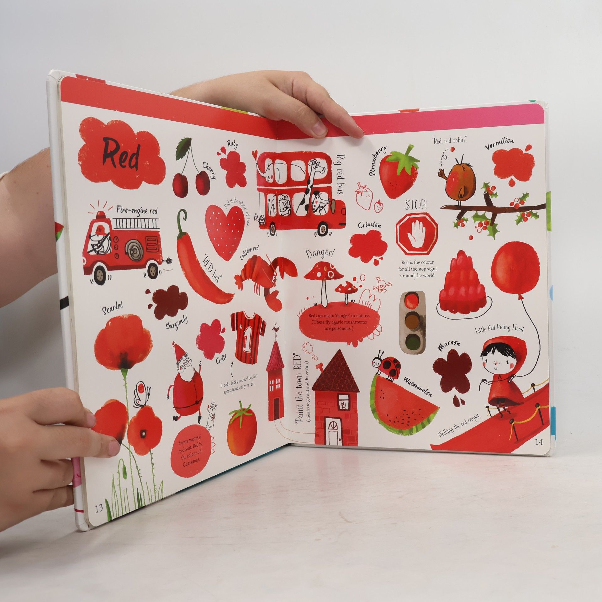 Felicity Brooks The Usborne big book of colours