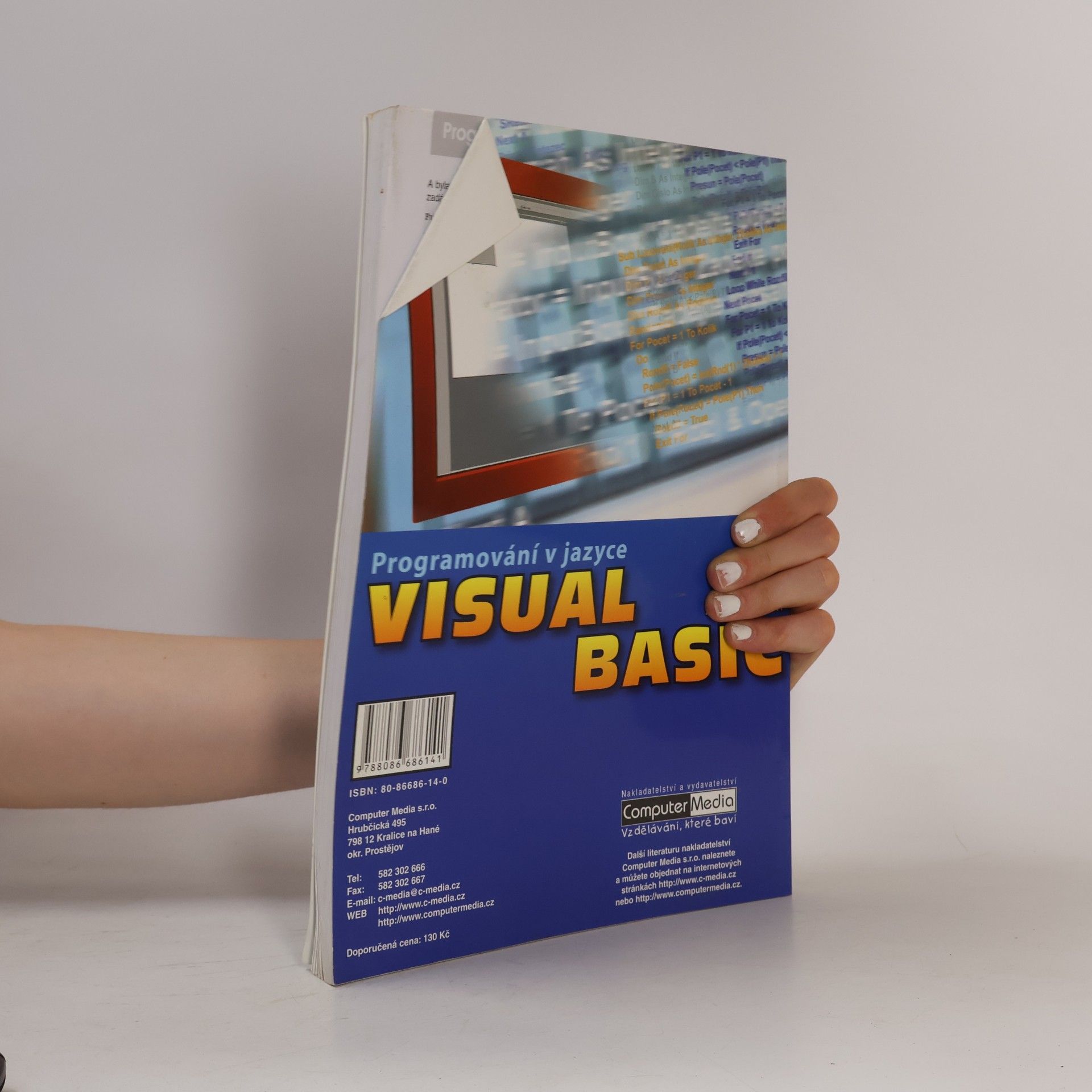 Josef Myslín Programování v jazyce Visual Basic