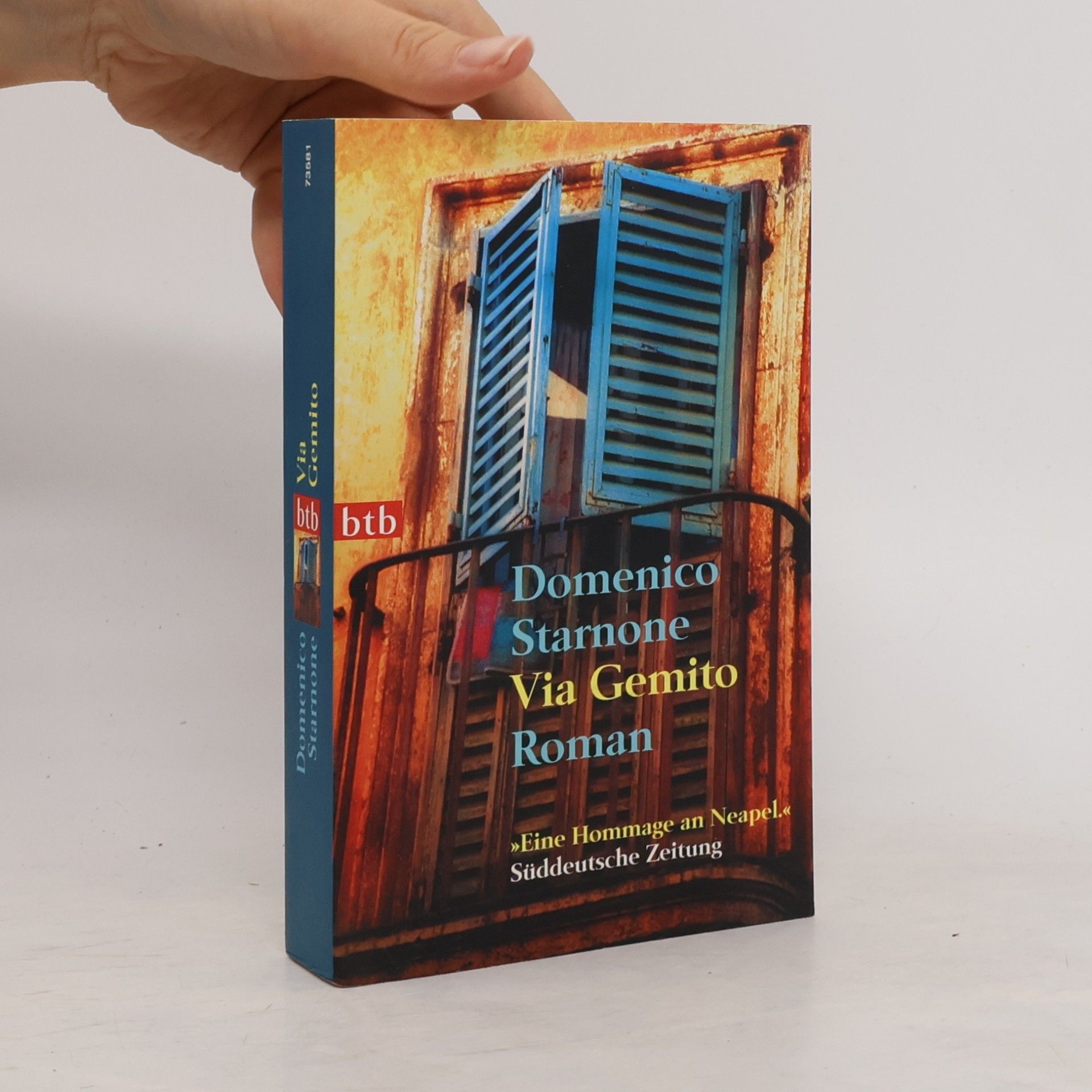 Domenico Starnone Via gemito