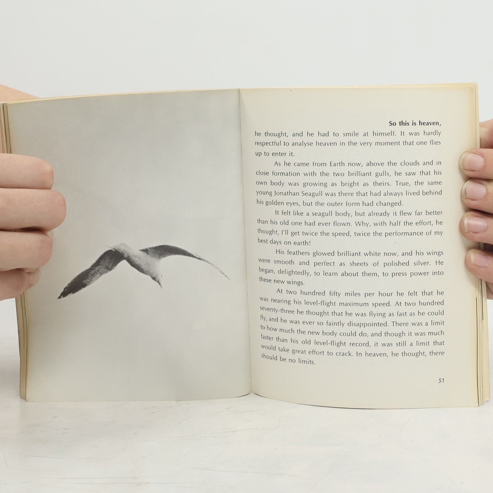Richard Bach Jonathan Livingstone Seagull