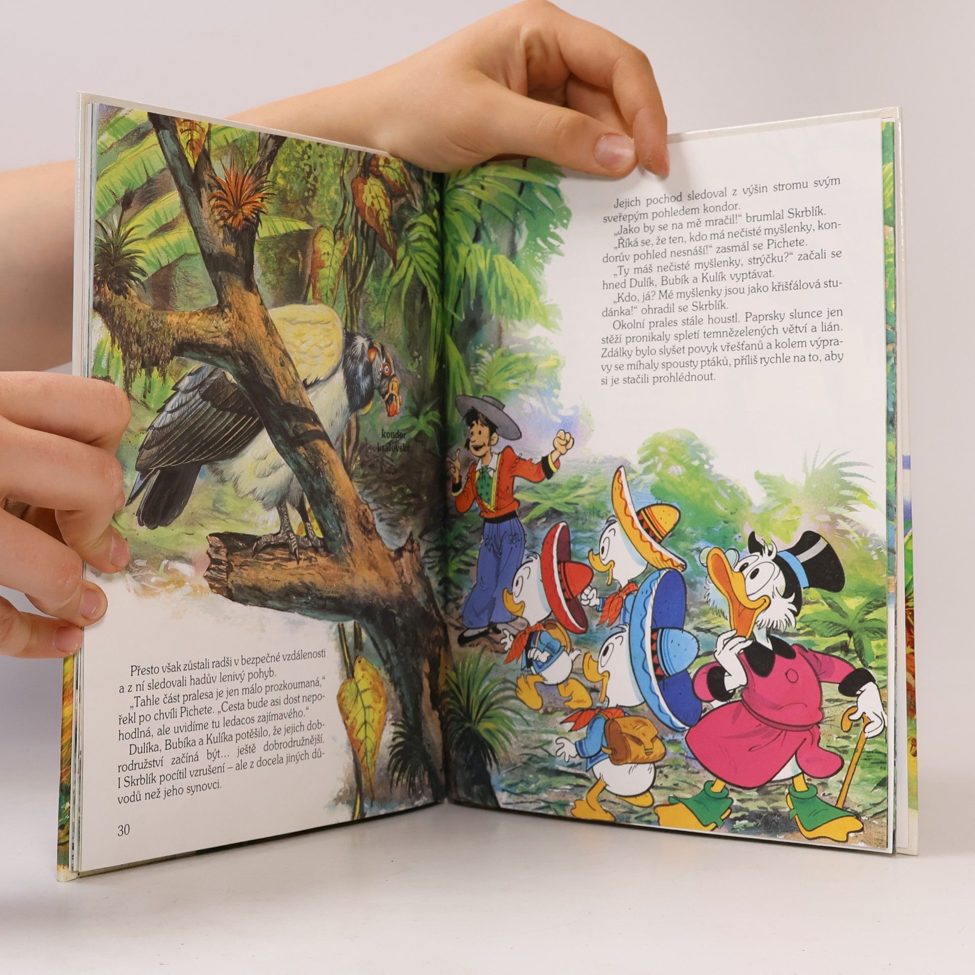 Walt Disney Za tajemstvím pralesa