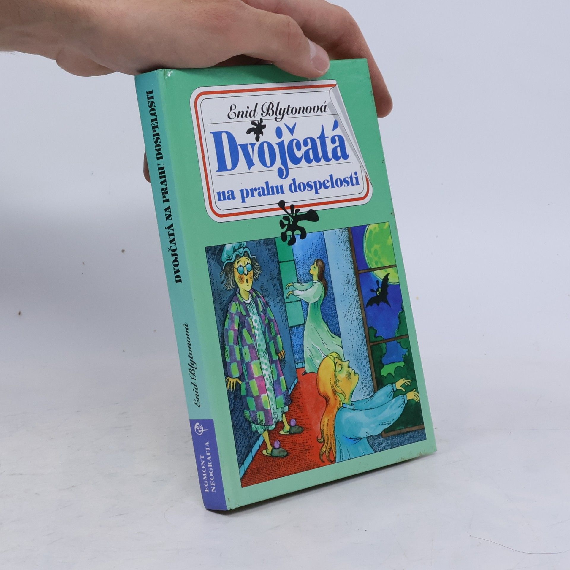 Enid Blyton Dvojčatá na prahu dospelosti