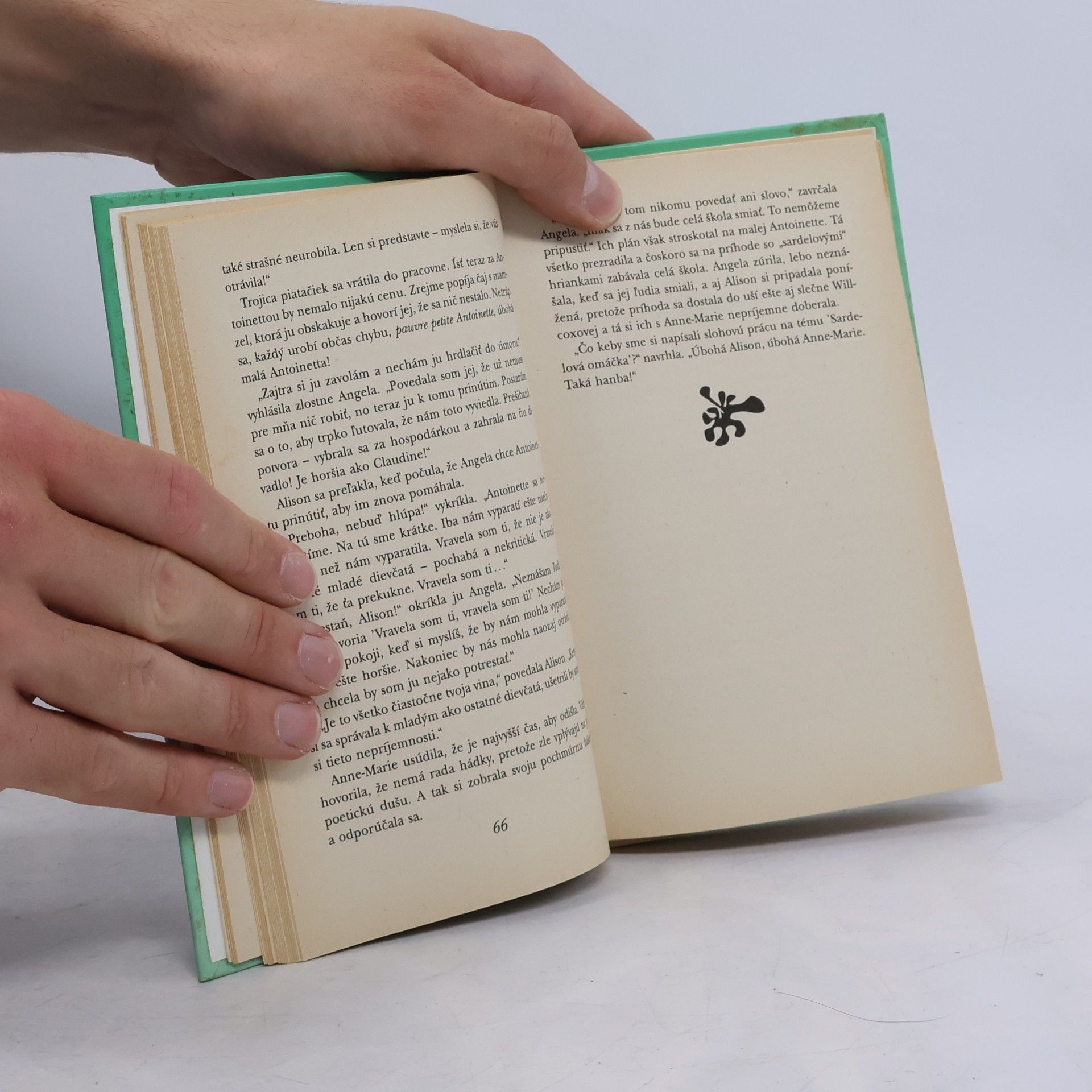 Enid Blyton Dvojčatá na prahu dospelosti