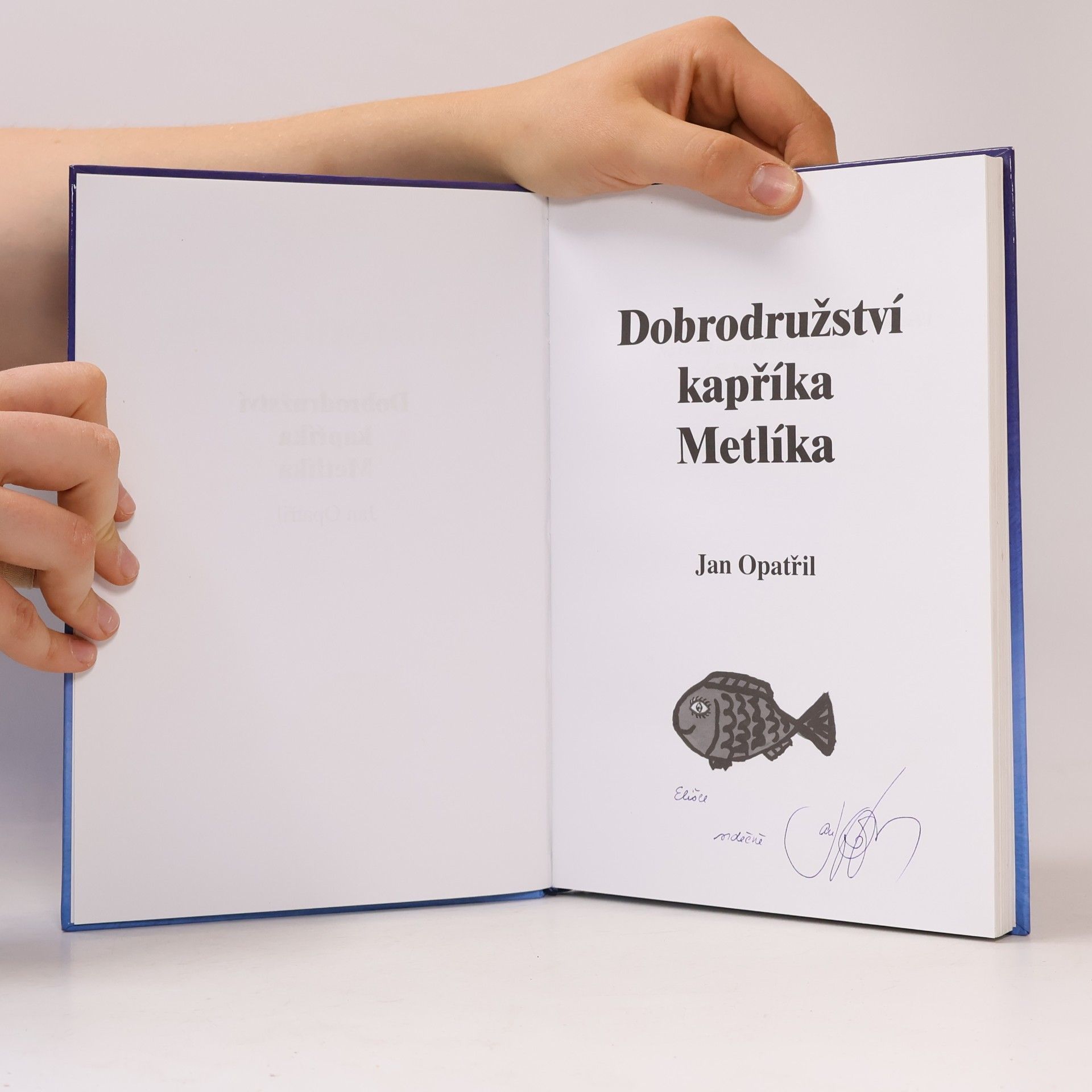 Dan Angus Dobrodružství kapříka Metlíka