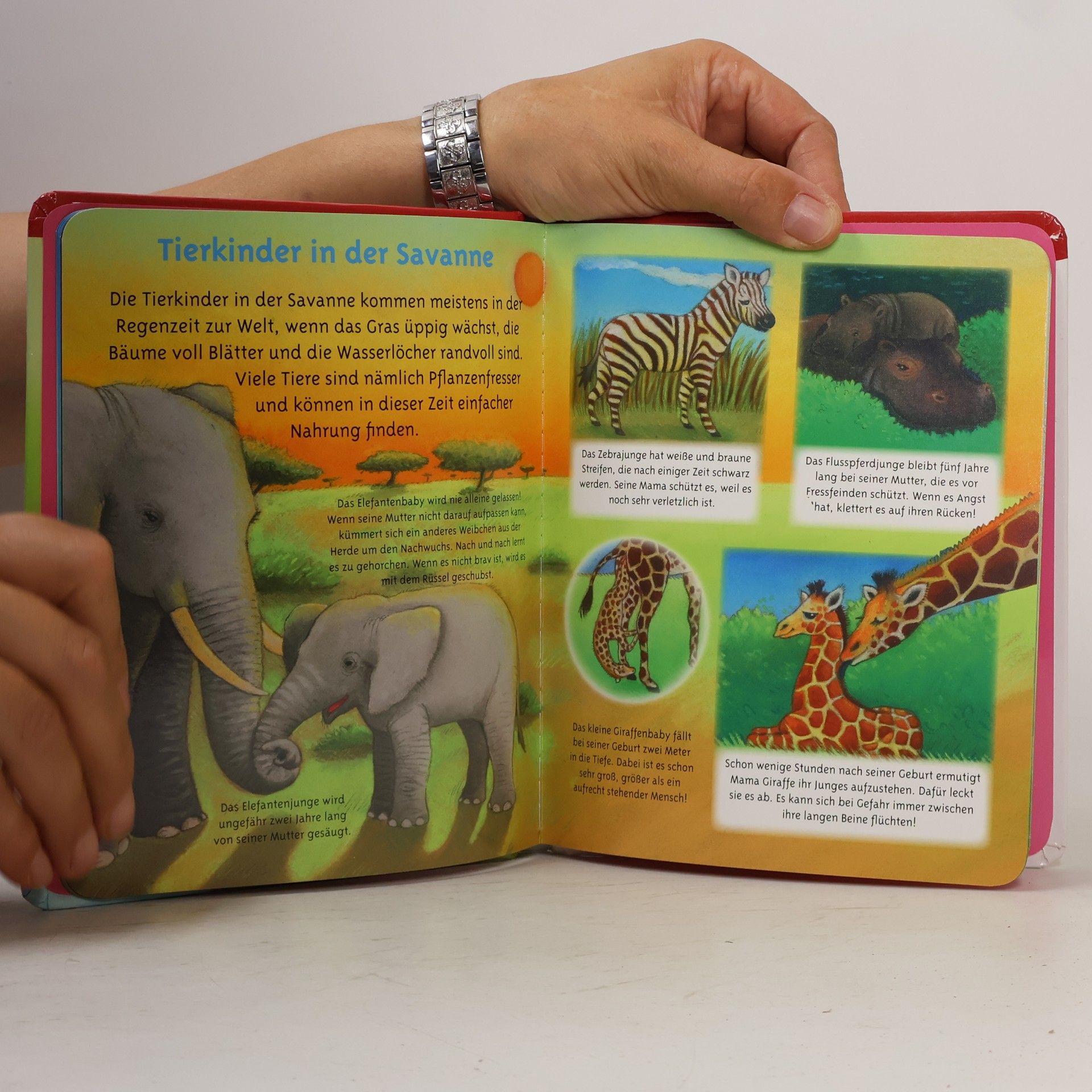 Auteurscollectief Tierkinder