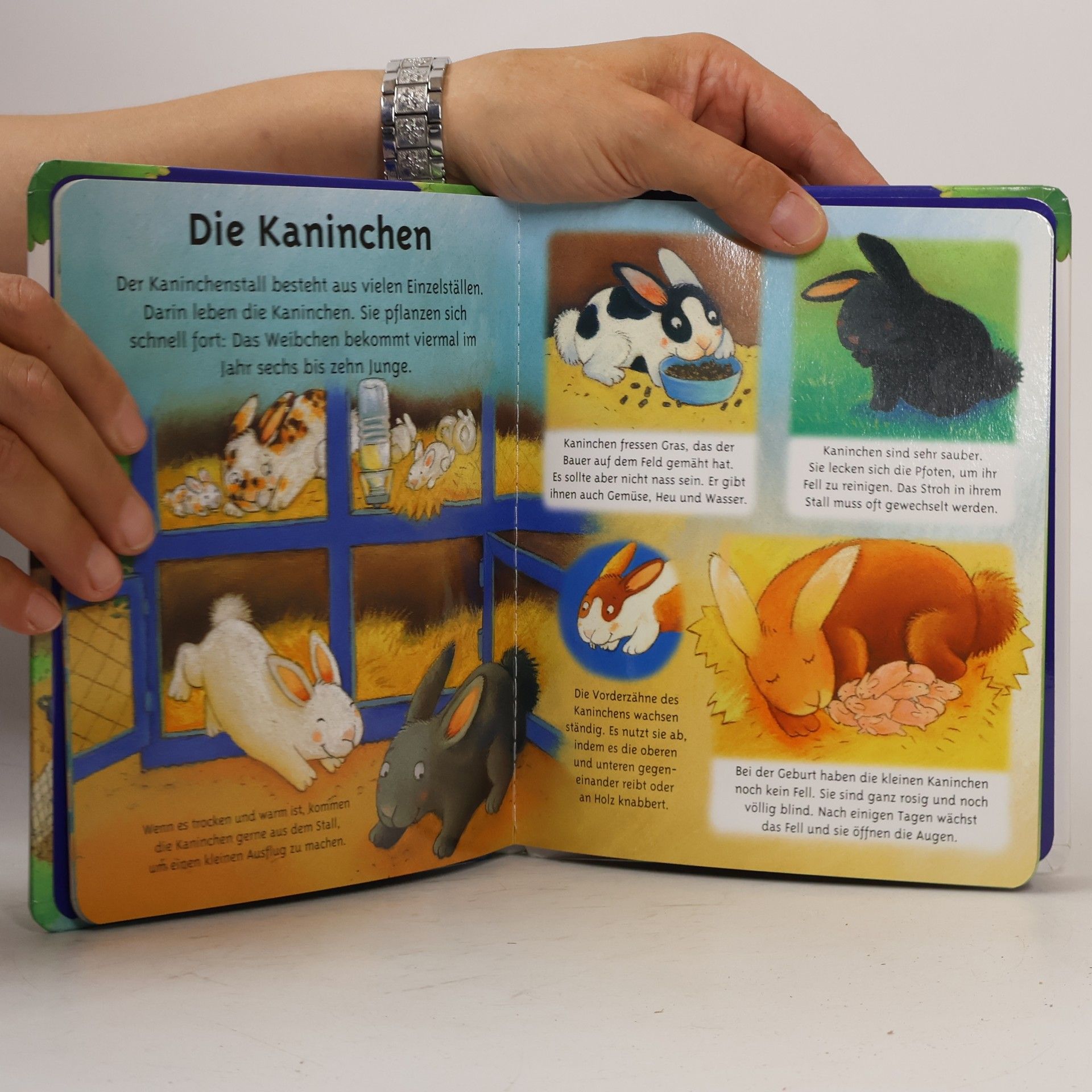 Autores varios Tiere auf dem Bauernhof