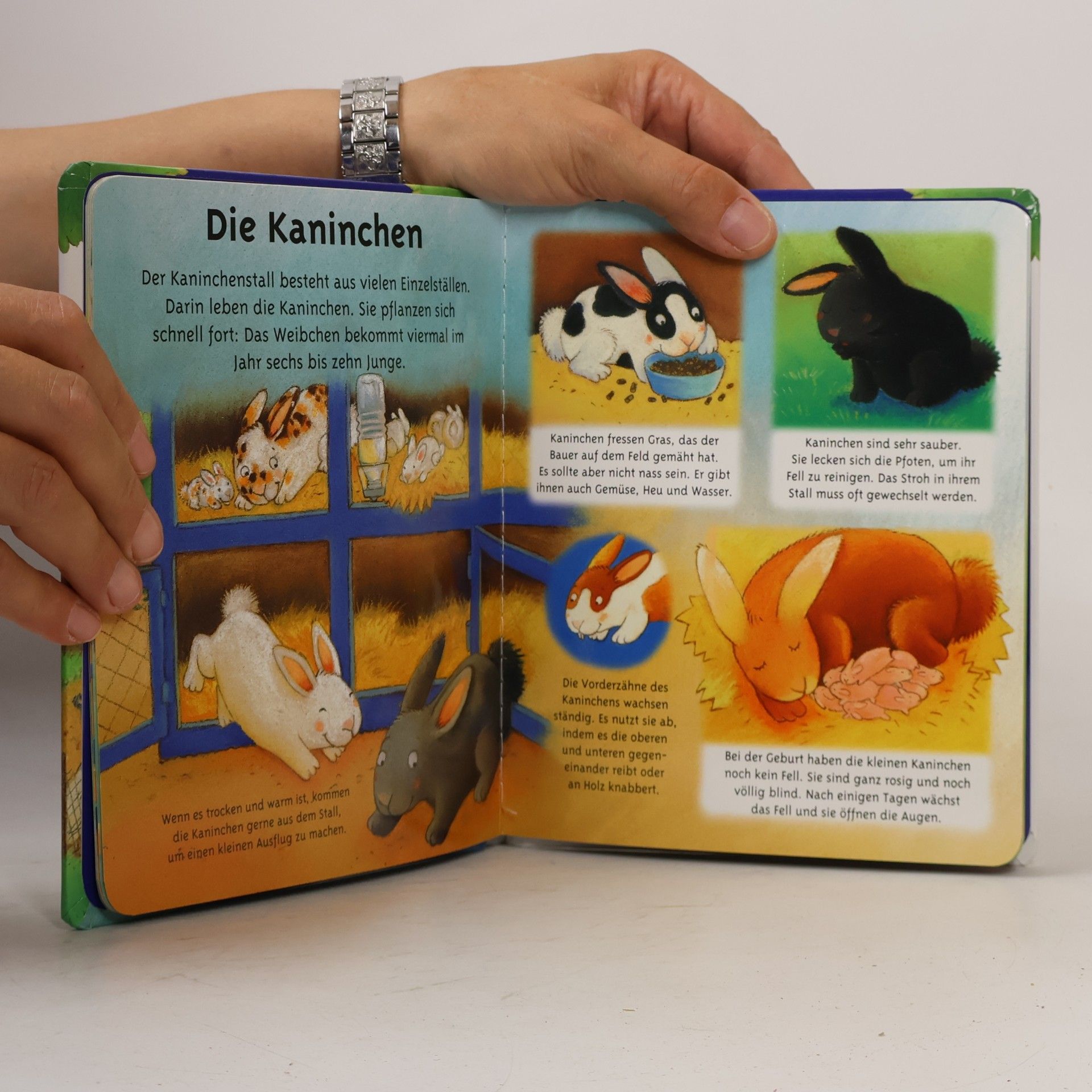 Autorenkollektiv Tiere auf dem Bauernhof