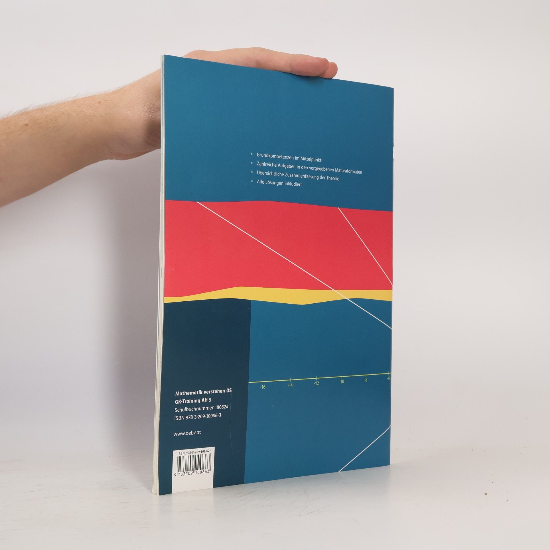 Günther Malle Mathematik verstehen