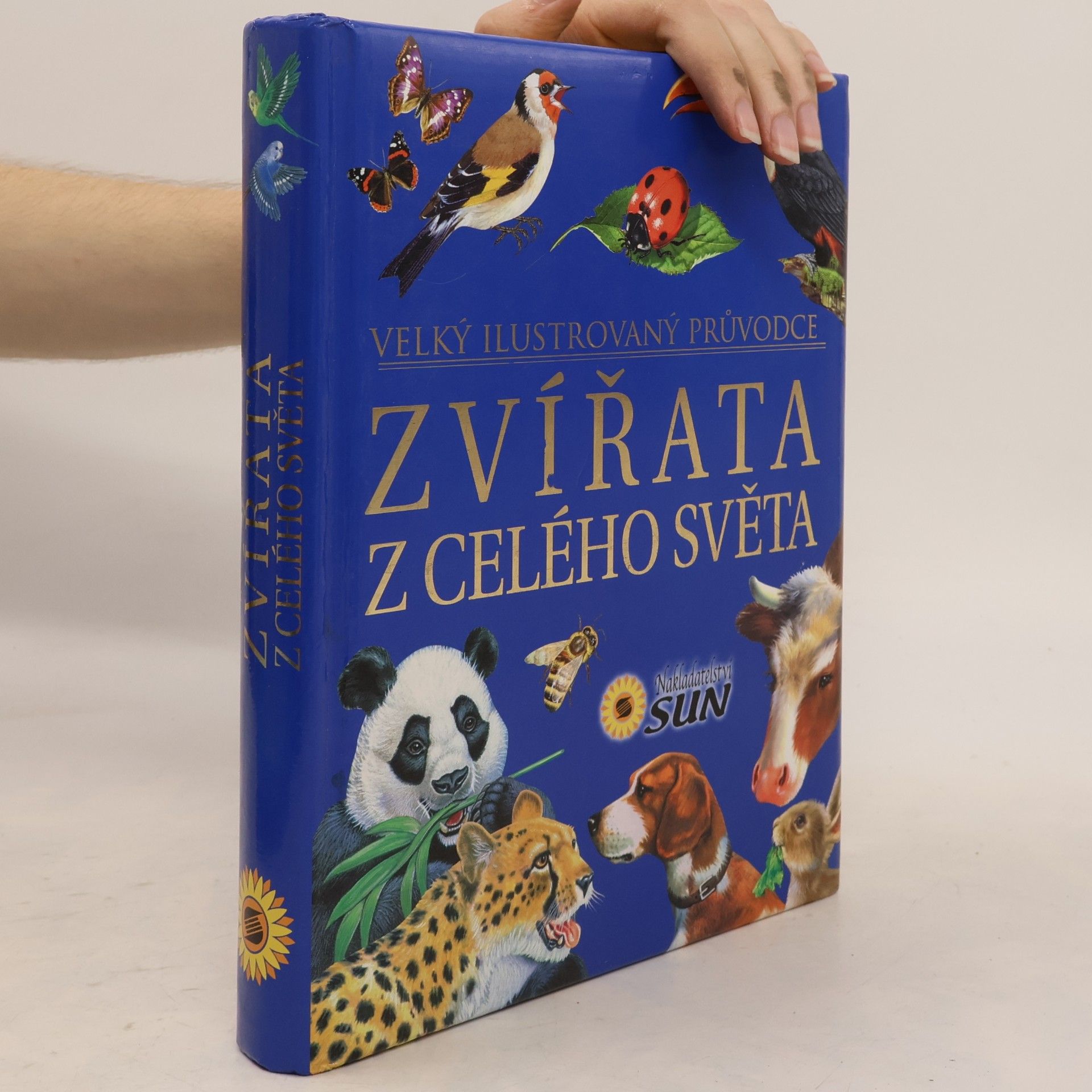 Autorenkollektiv Zvířata z celého světa
