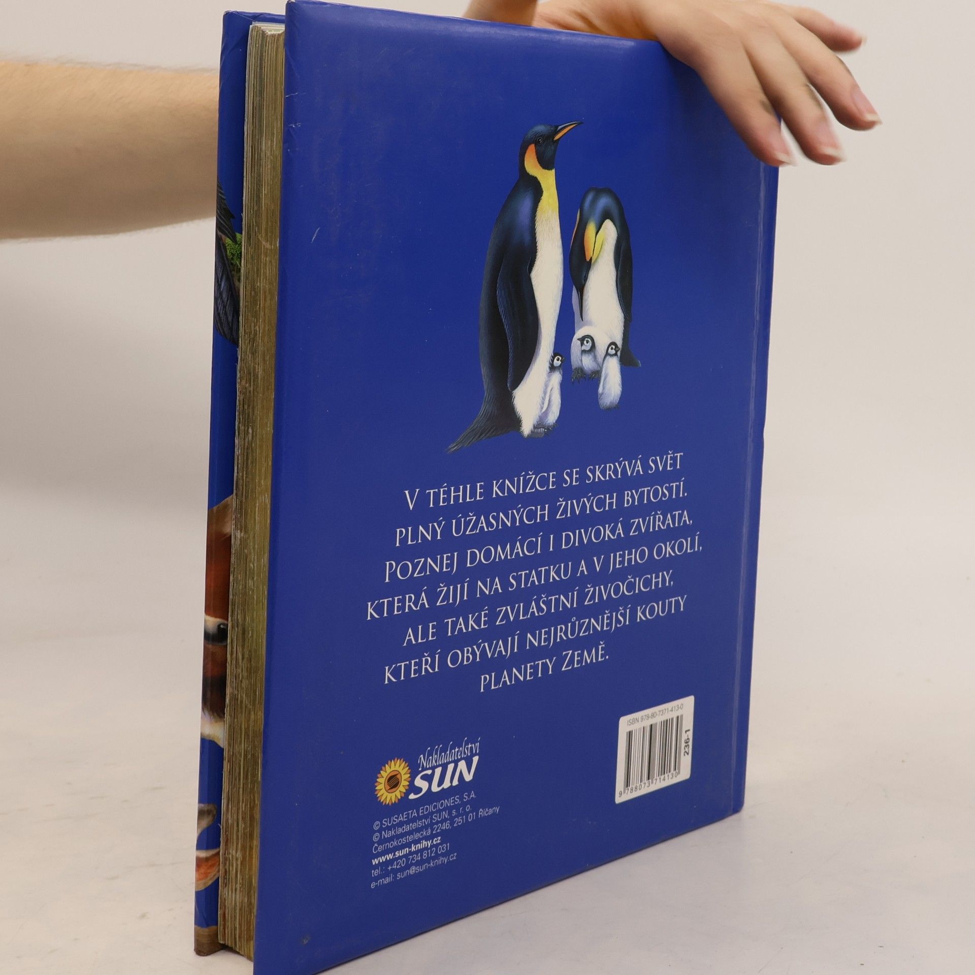 Autorenkollektiv Zvířata z celého světa