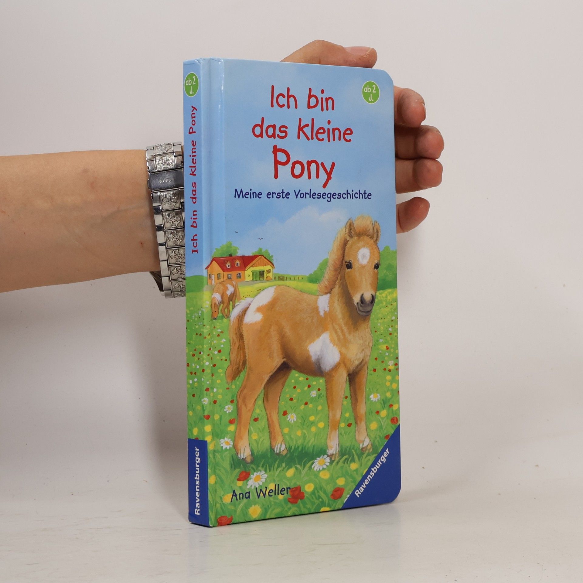 Ich bin das kleine Pony