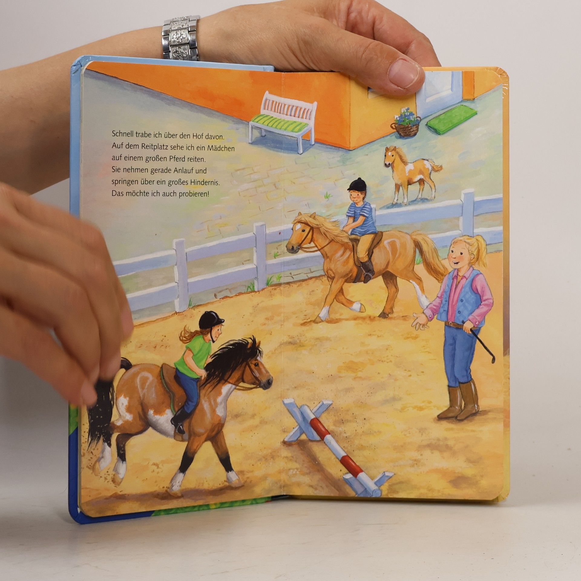 Ana Weller Ich bin das kleine Pony
