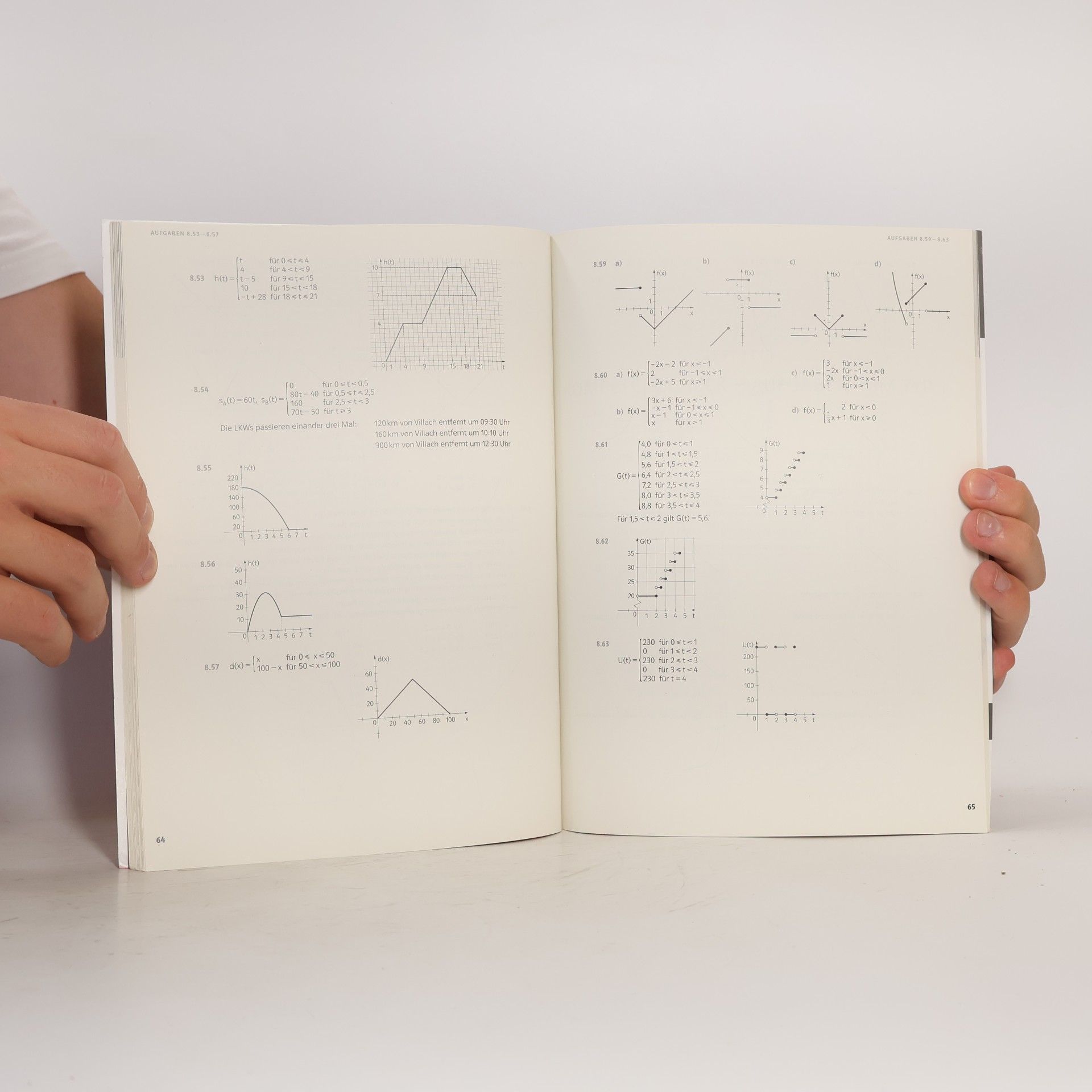 Günther Malle Mathematik verstehen