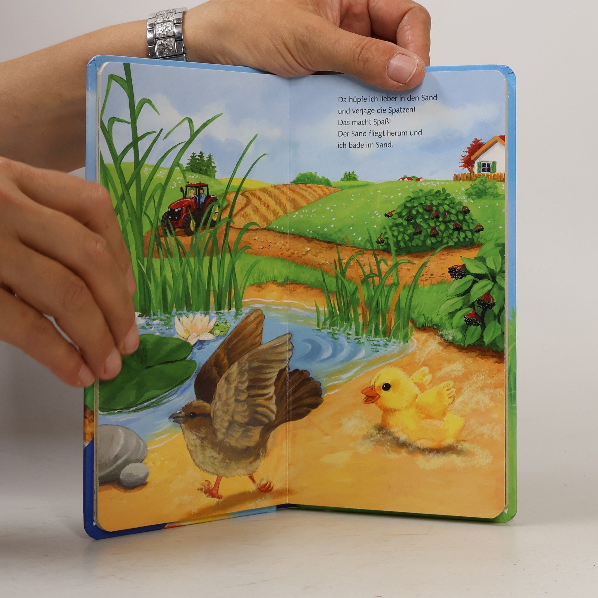 Ana Weller Ich bin das kleine Küken