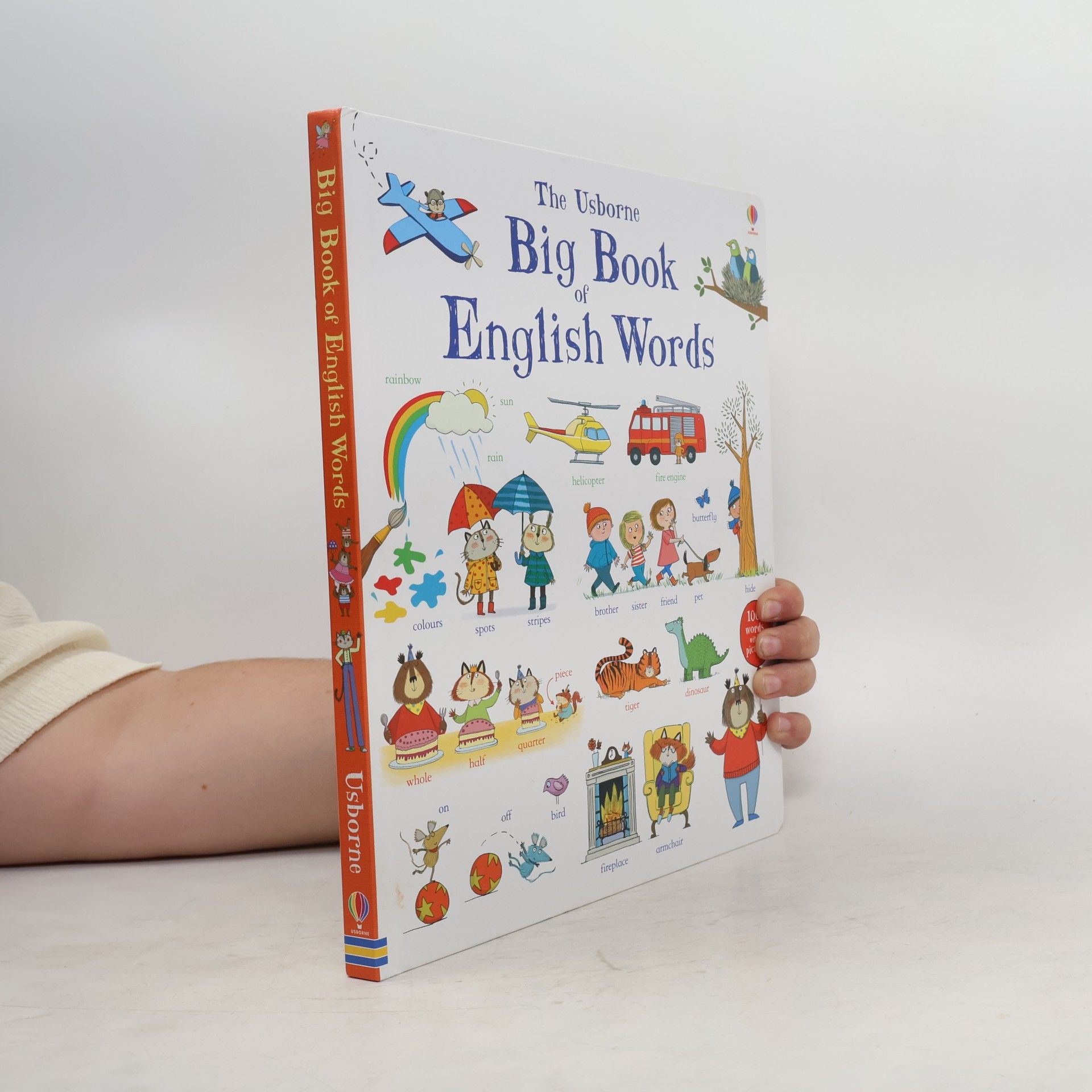 Mairi Mackinnon The Usborne Big Book of English Words
