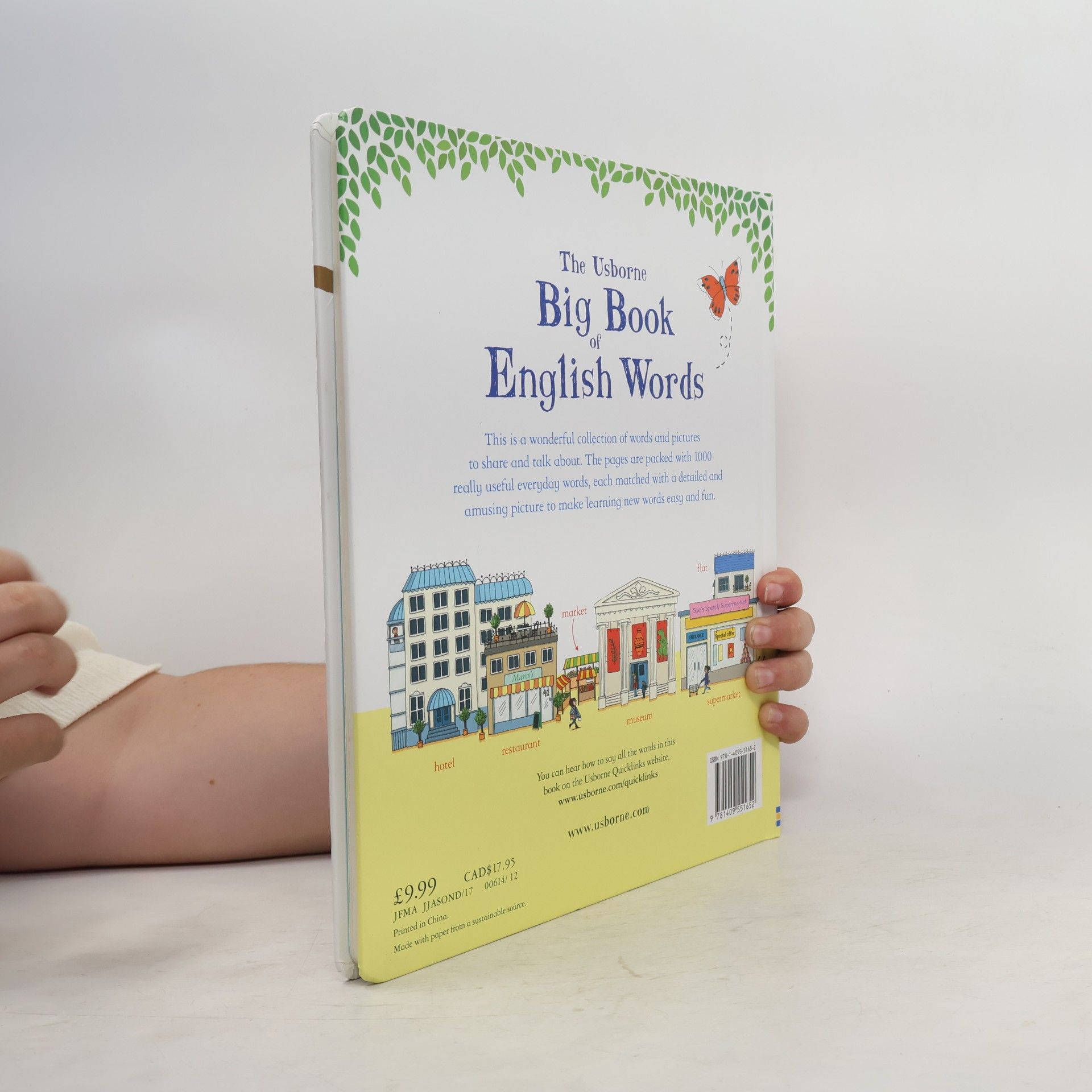 Mairi Mackinnon The Usborne Big Book of English Words