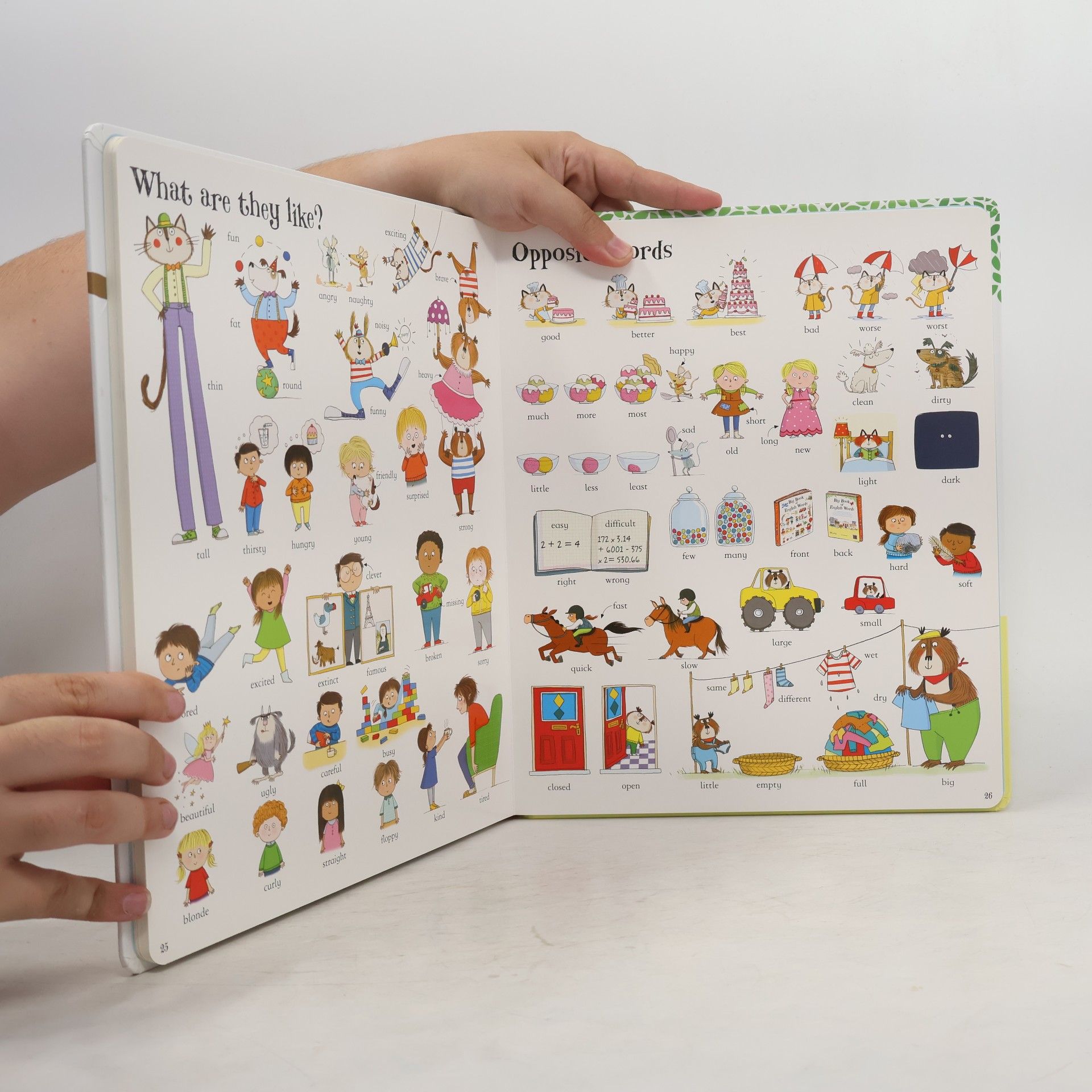 Mairi Mackinnon The Usborne Big Book of English Words