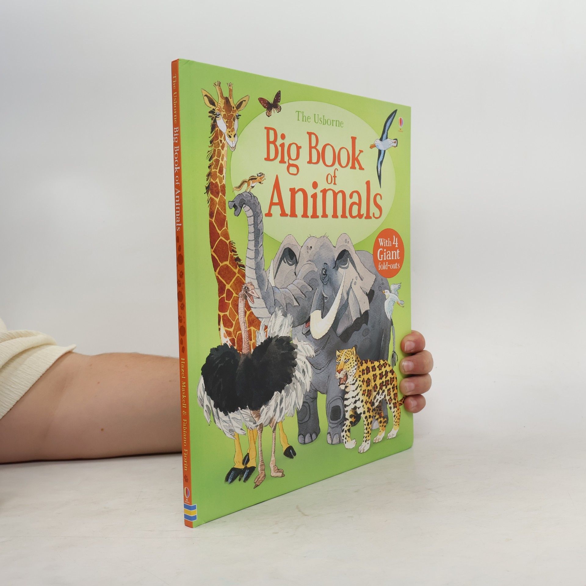 Fabiano Fiorin Big Book of Big Animals