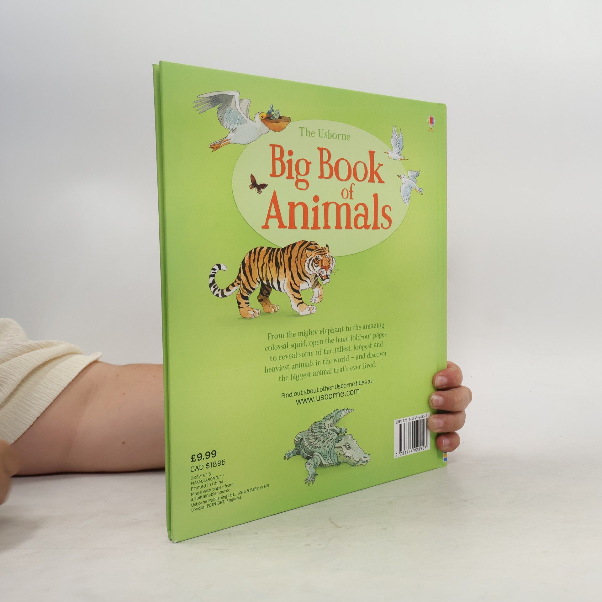 Collectif d'auteurs Big Book of Big Animals