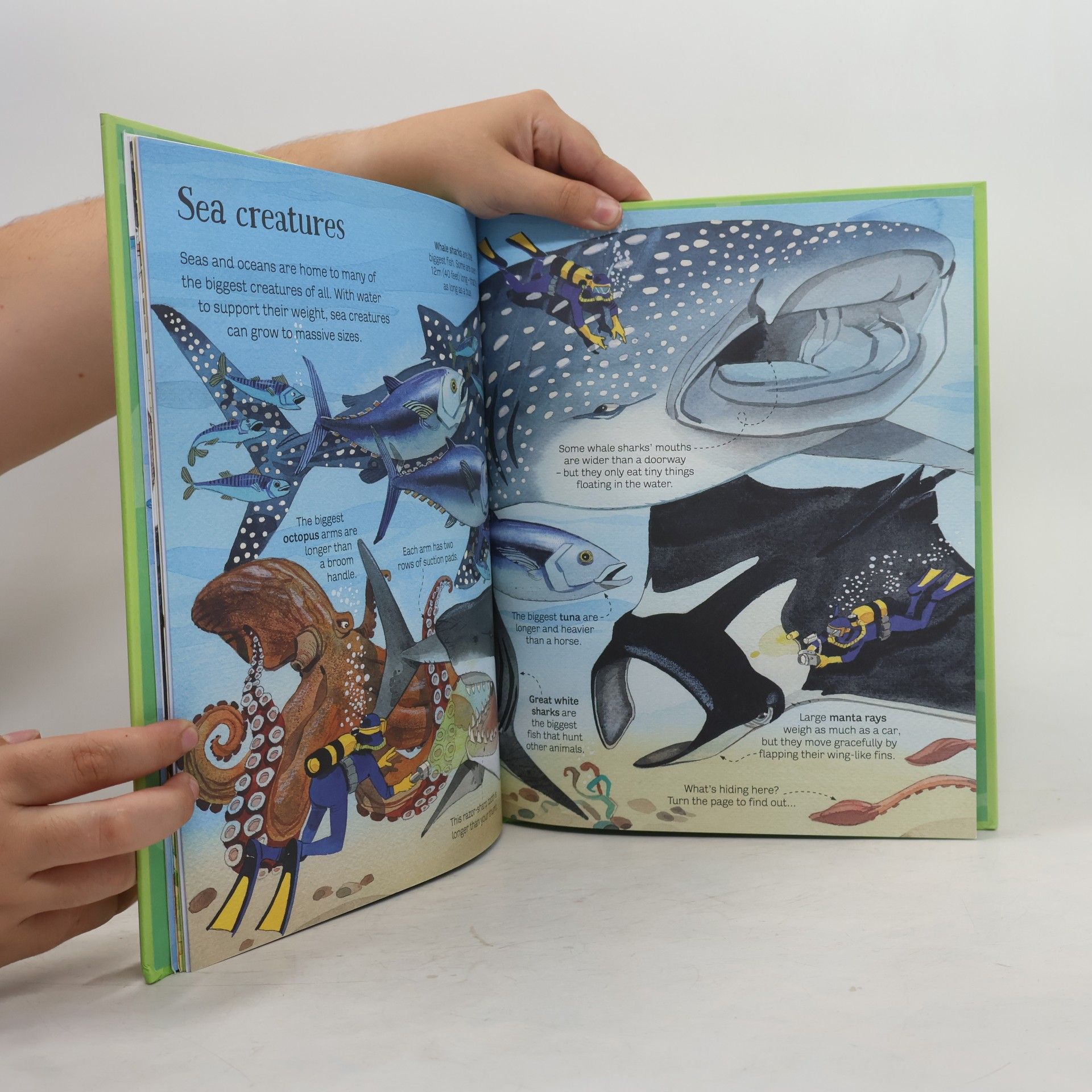 Collectif d'auteurs Big Book of Big Animals