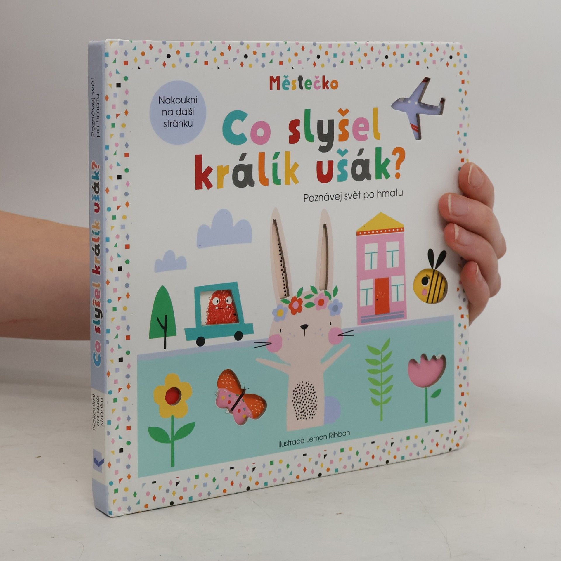 Graham Oakley Co slyšel králík ušák?