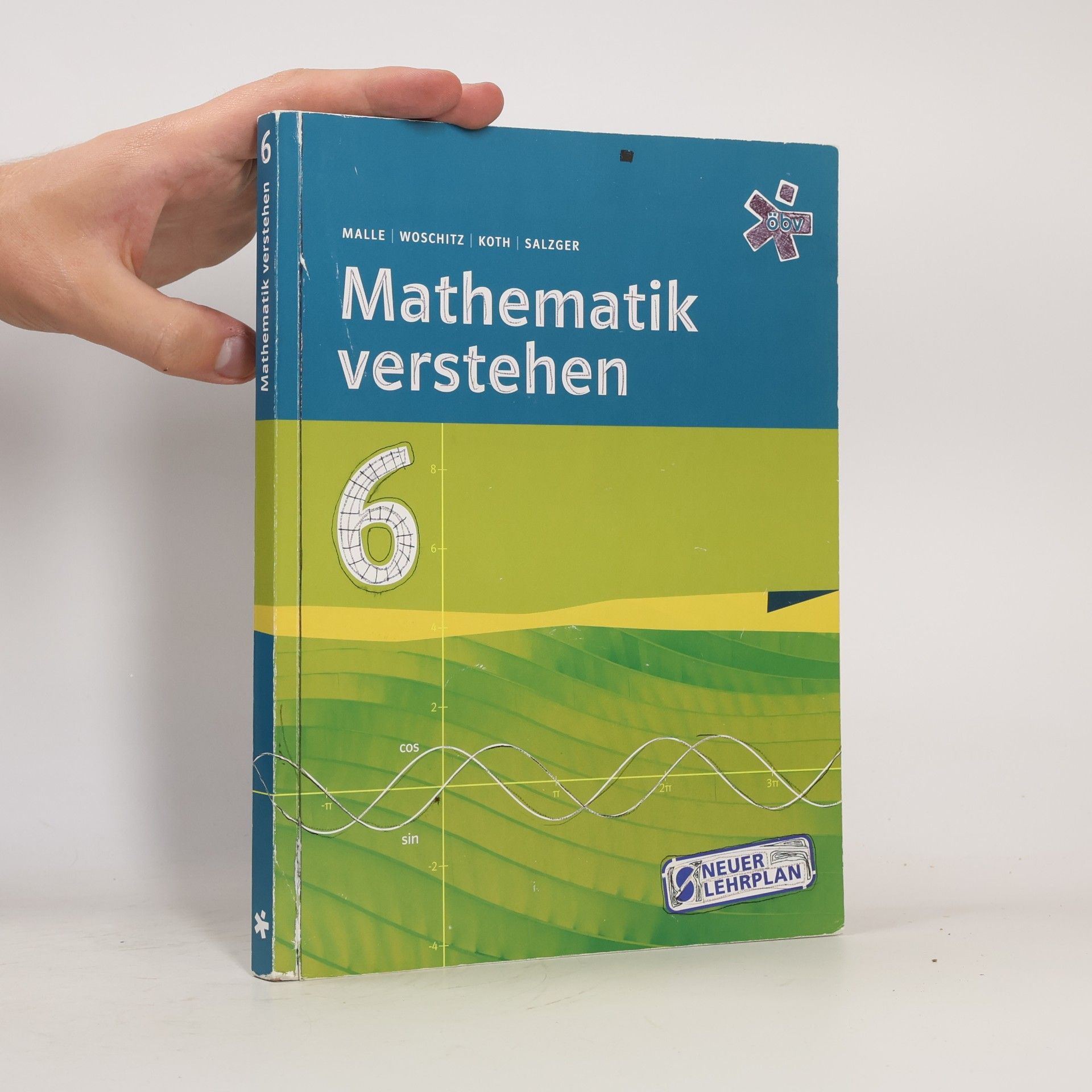 AA.VV. Mathematik verstehen 6