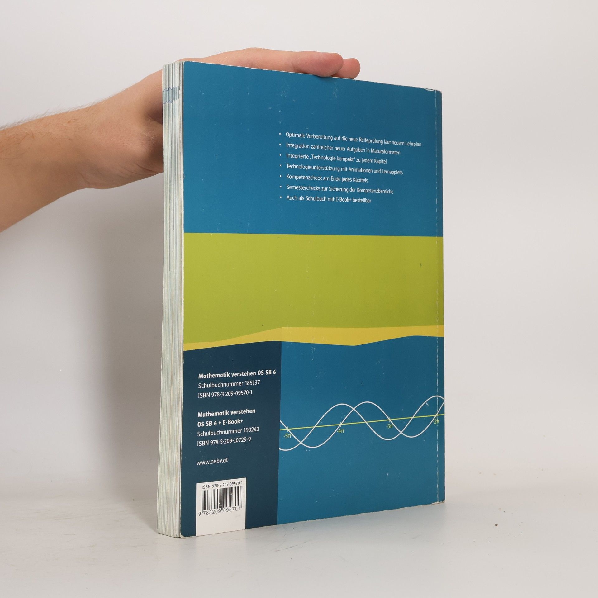 AA.VV. Mathematik verstehen 6