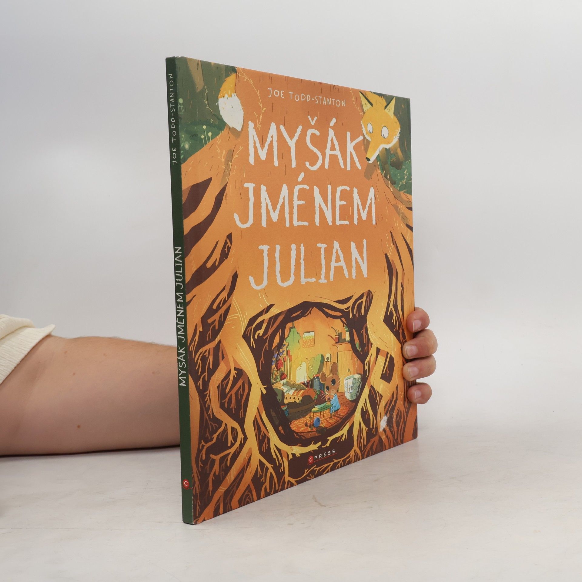 Joe Todd-Stanton Myšák jménem Julian
