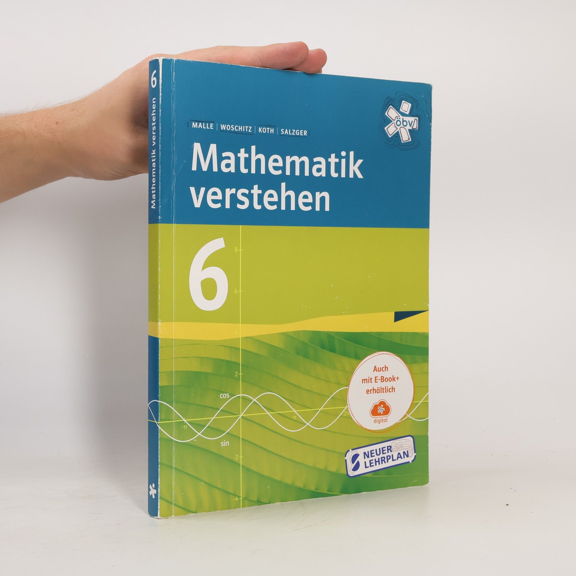 AA.VV. Mathematik verstehen 6