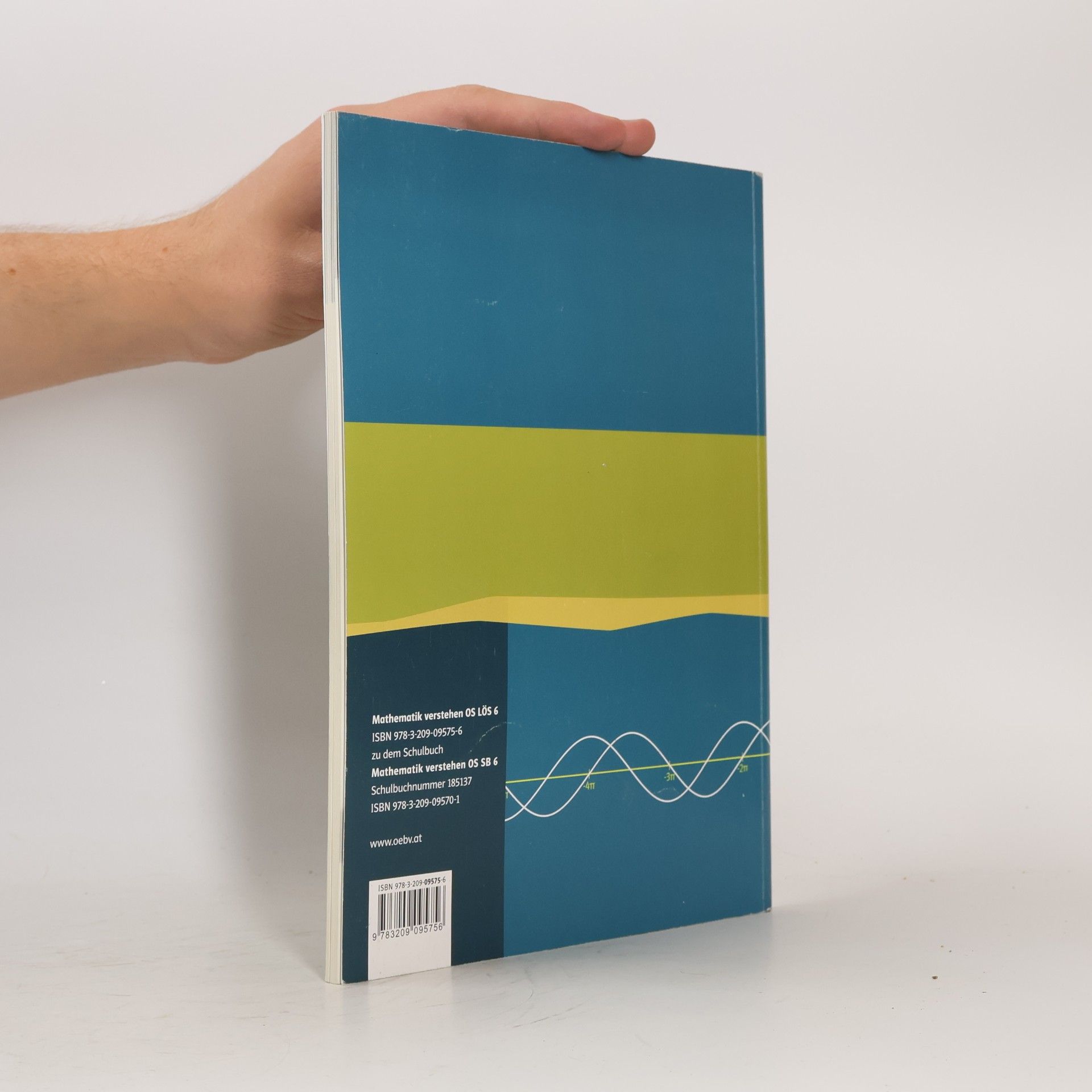 Collectif d'auteurs Mathematik Verstehen