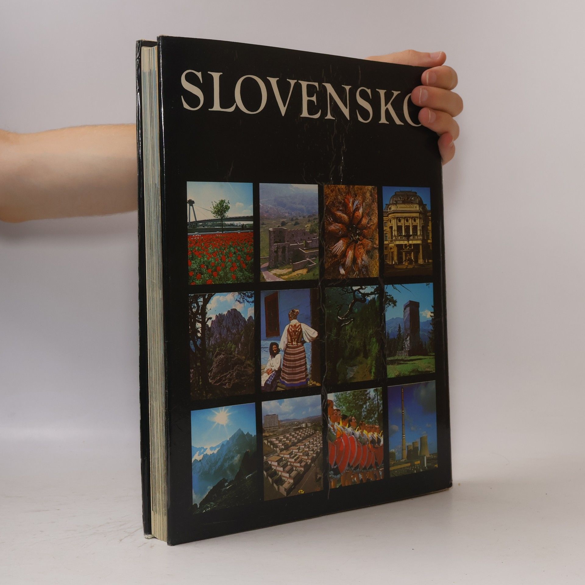 Autorenkollektiv Slovensko