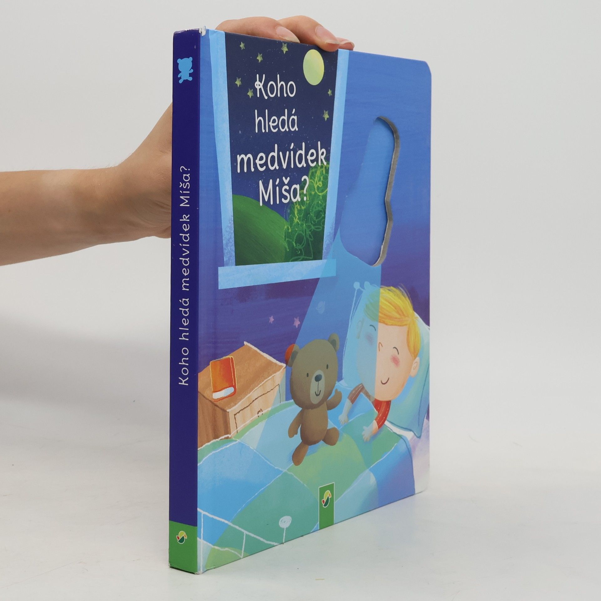 Various authors Koho hledá medvídek Míša?