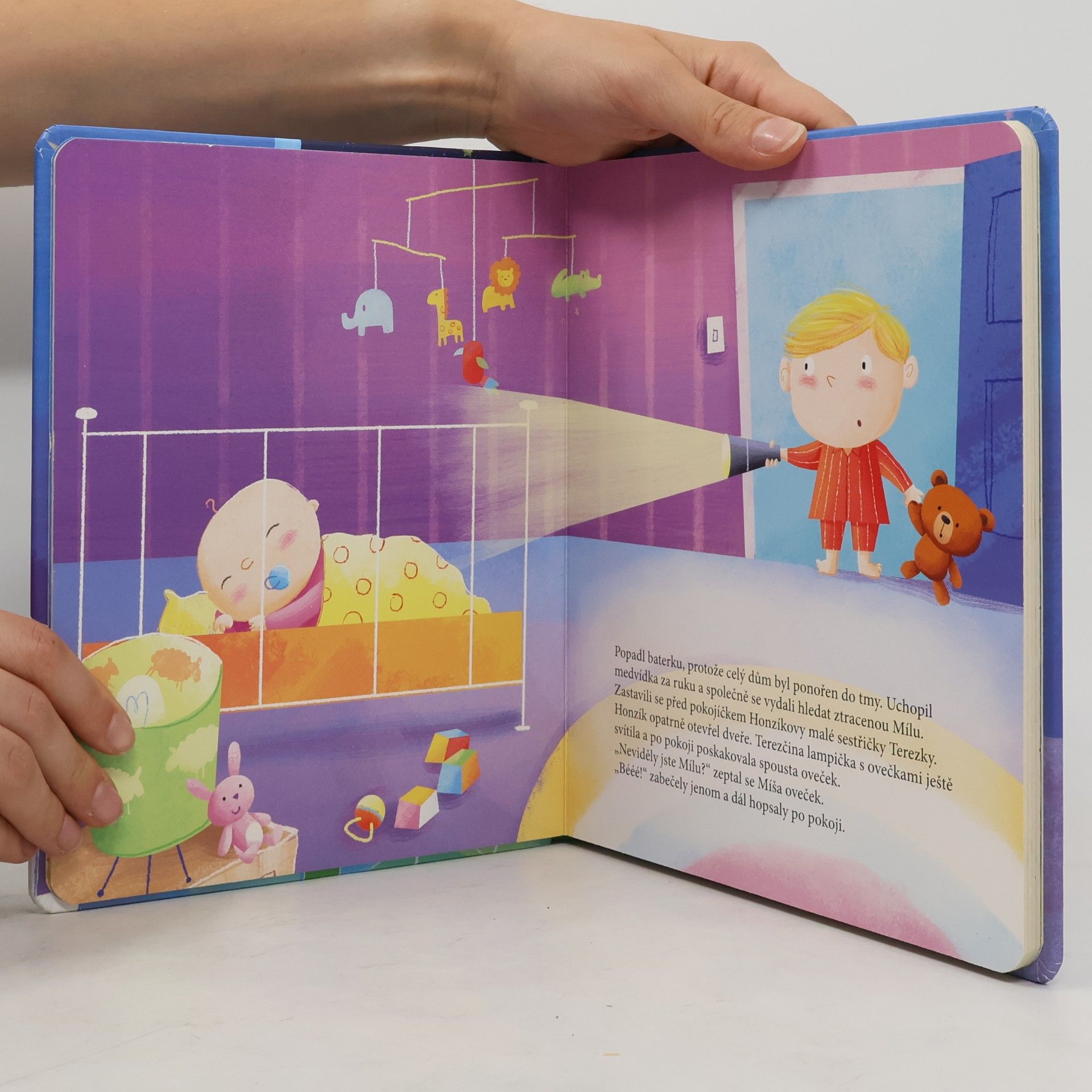 Various authors Koho hledá medvídek Míša?