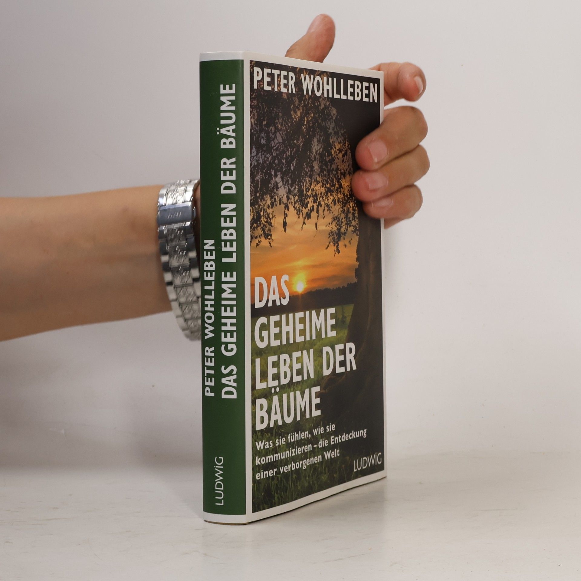 Peter Wohlleben Das geheime Leben der Bäume