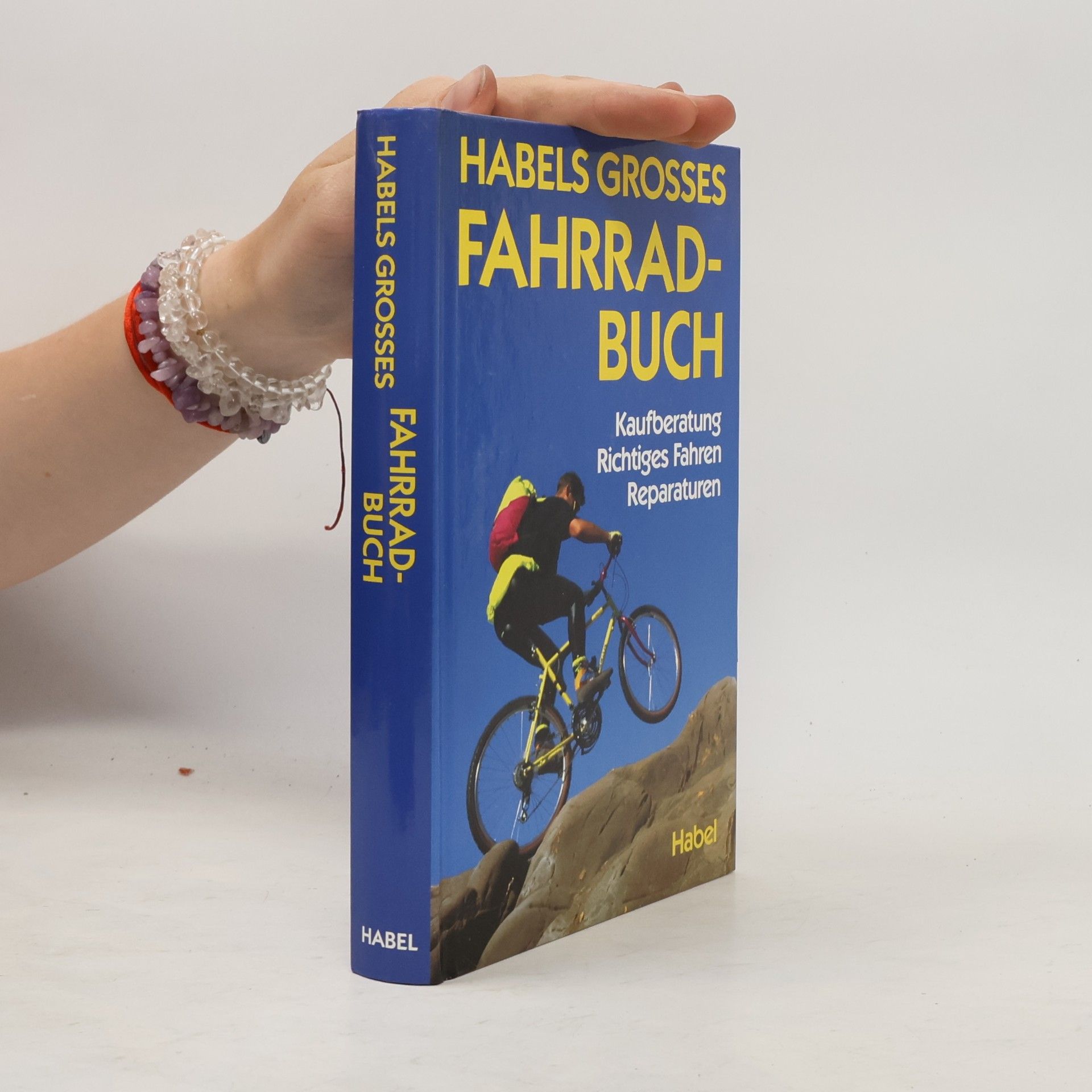 Ferdinand Soukop Habels grosses Fahrradbuch