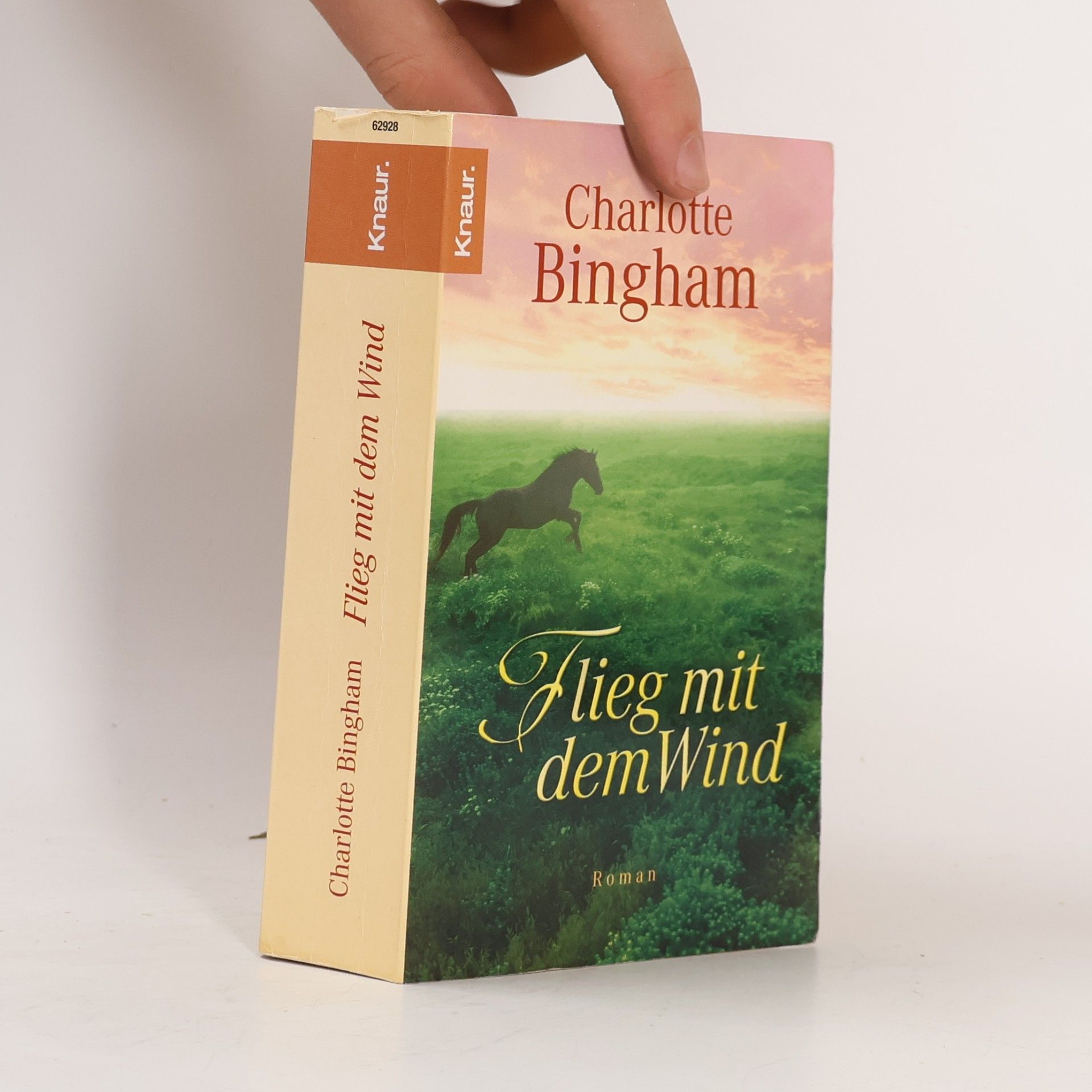 Charlotte Bingham Flieg mit dem Wind. Roman