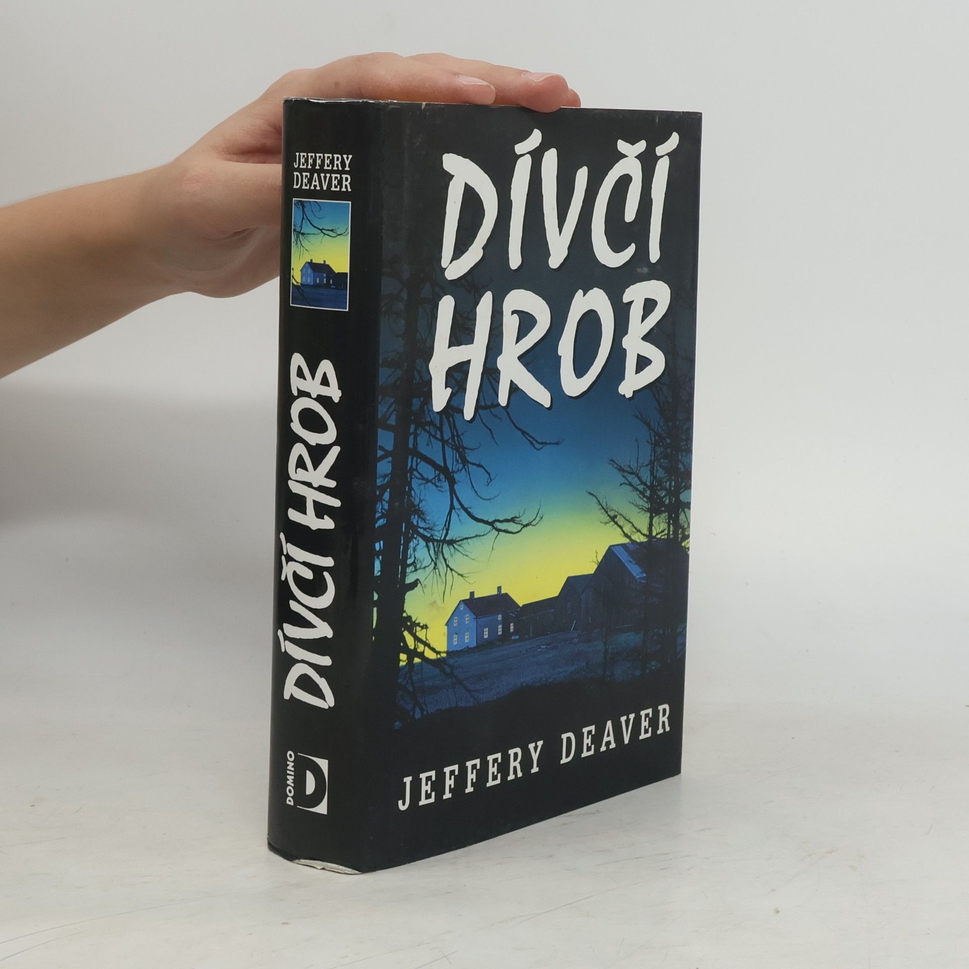 Jeffery Deaver Dívčí hrob