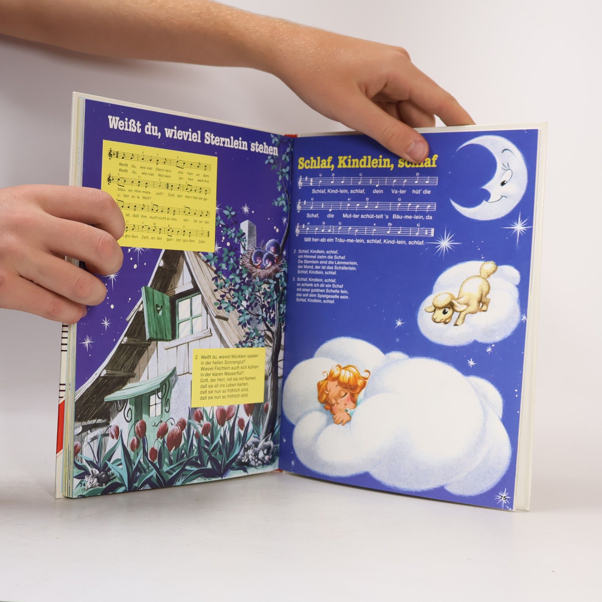 Rolf Kauka Das grosse Bussi Bär Liederbuch