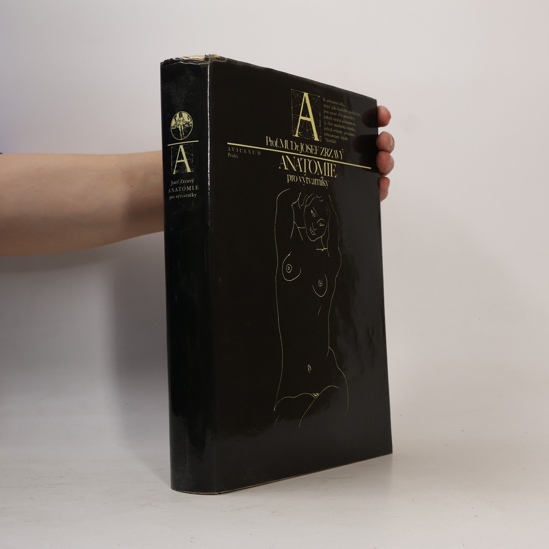 Josef Zrzavý Anatomie pro výtvarníky