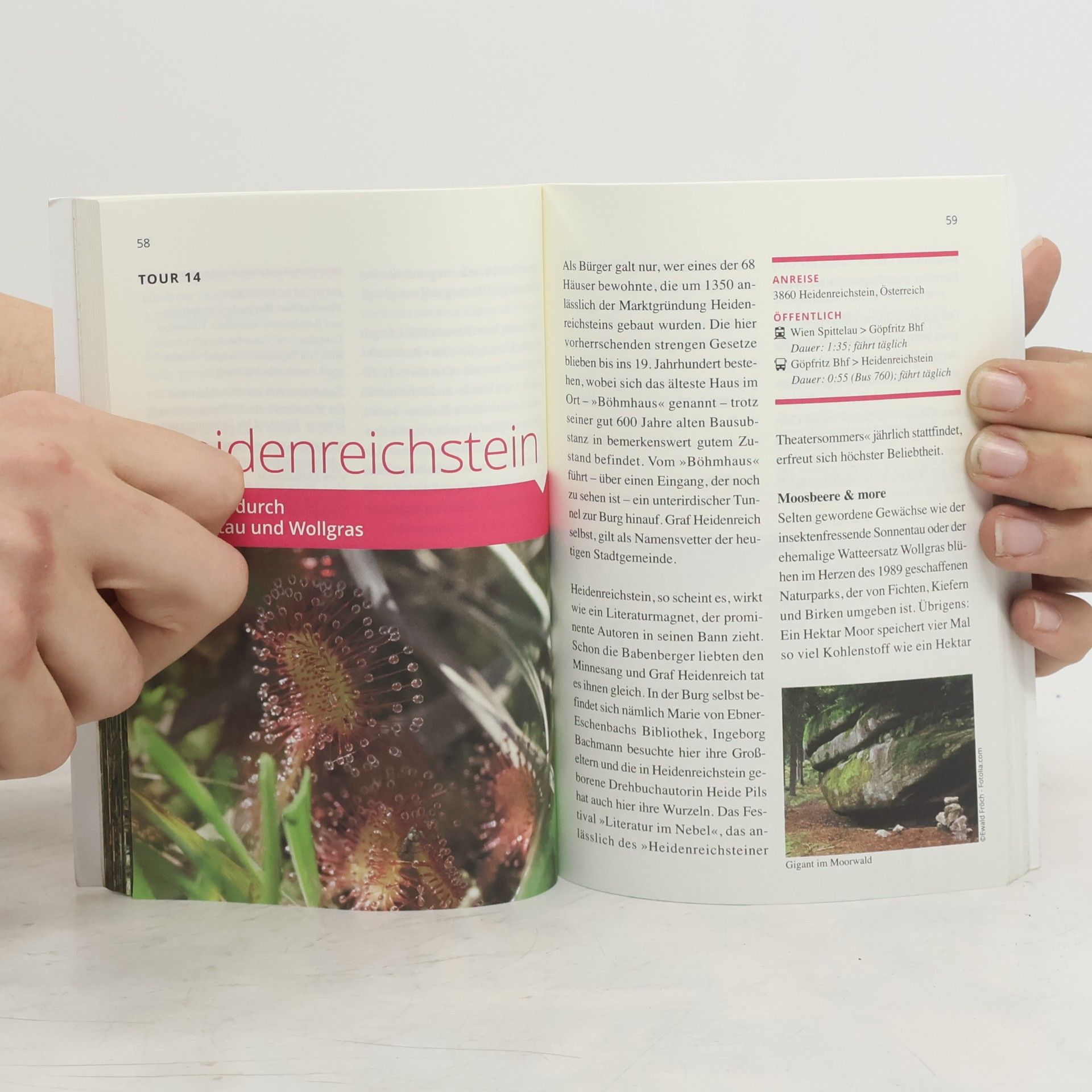 Jine Knapp Niederösterreichs Norden und Osten, tschechische und slowakische Grenzorte