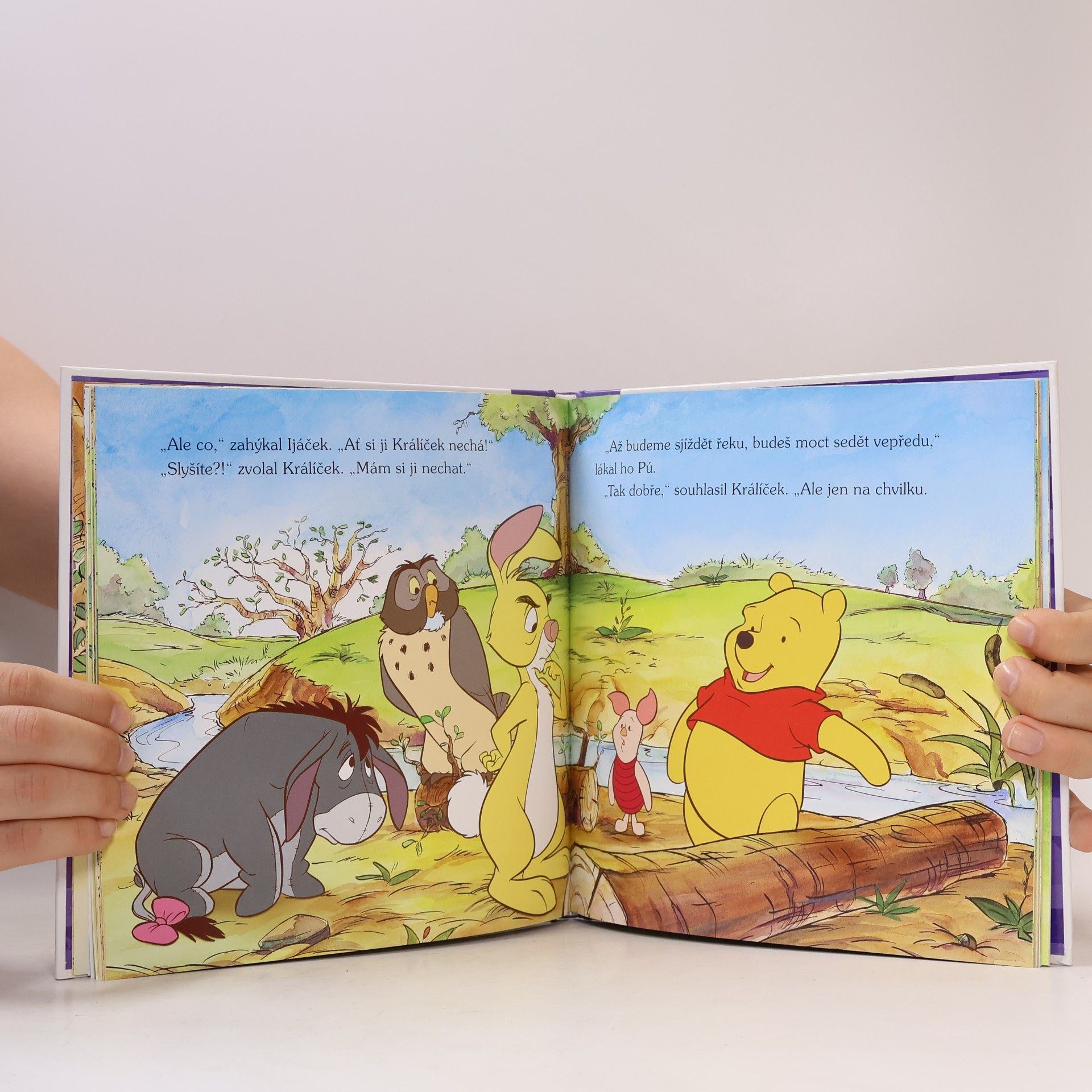 Walt Disney Medvídek Pú - Nejkrásnější dárek