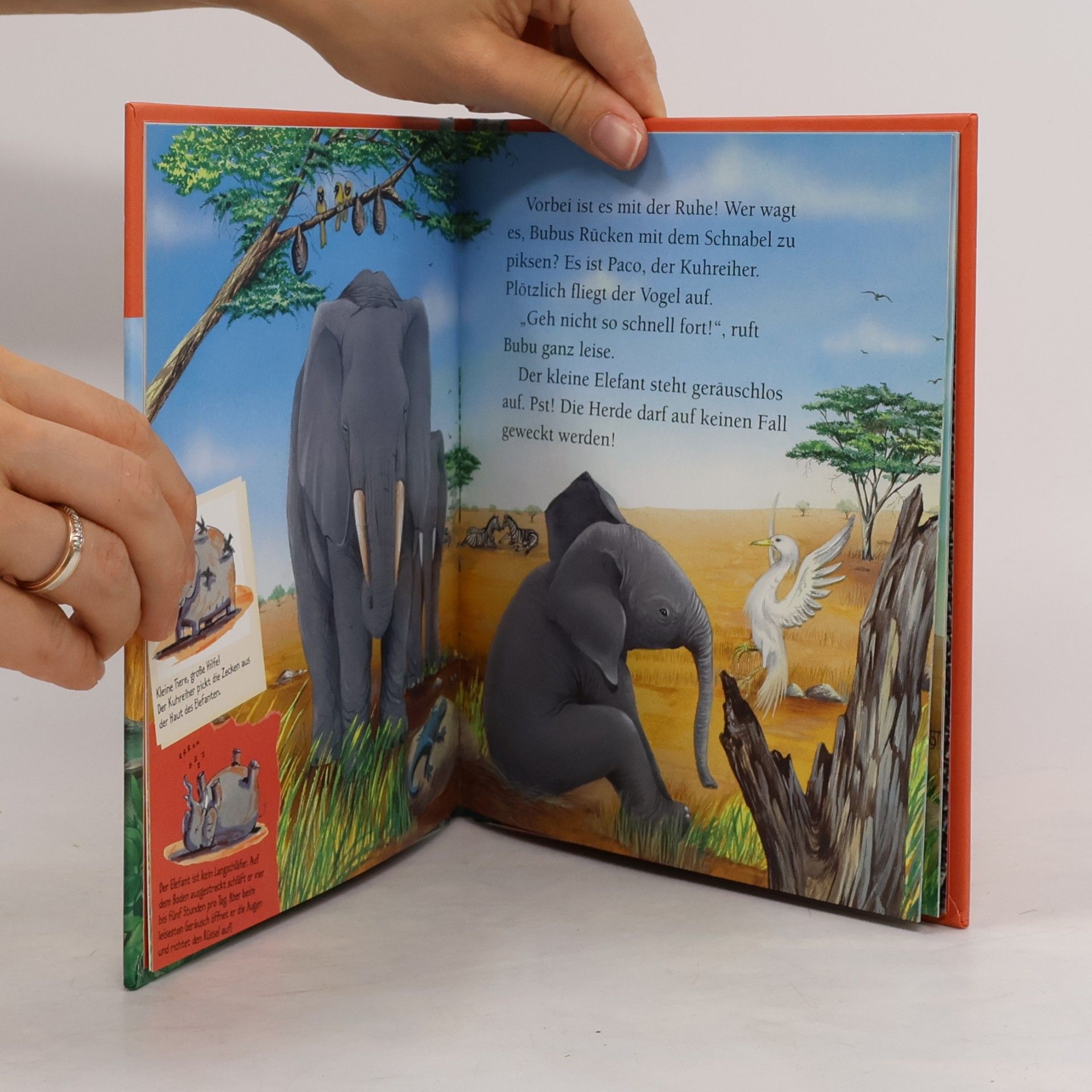 Mymi Doinet Der Elefant